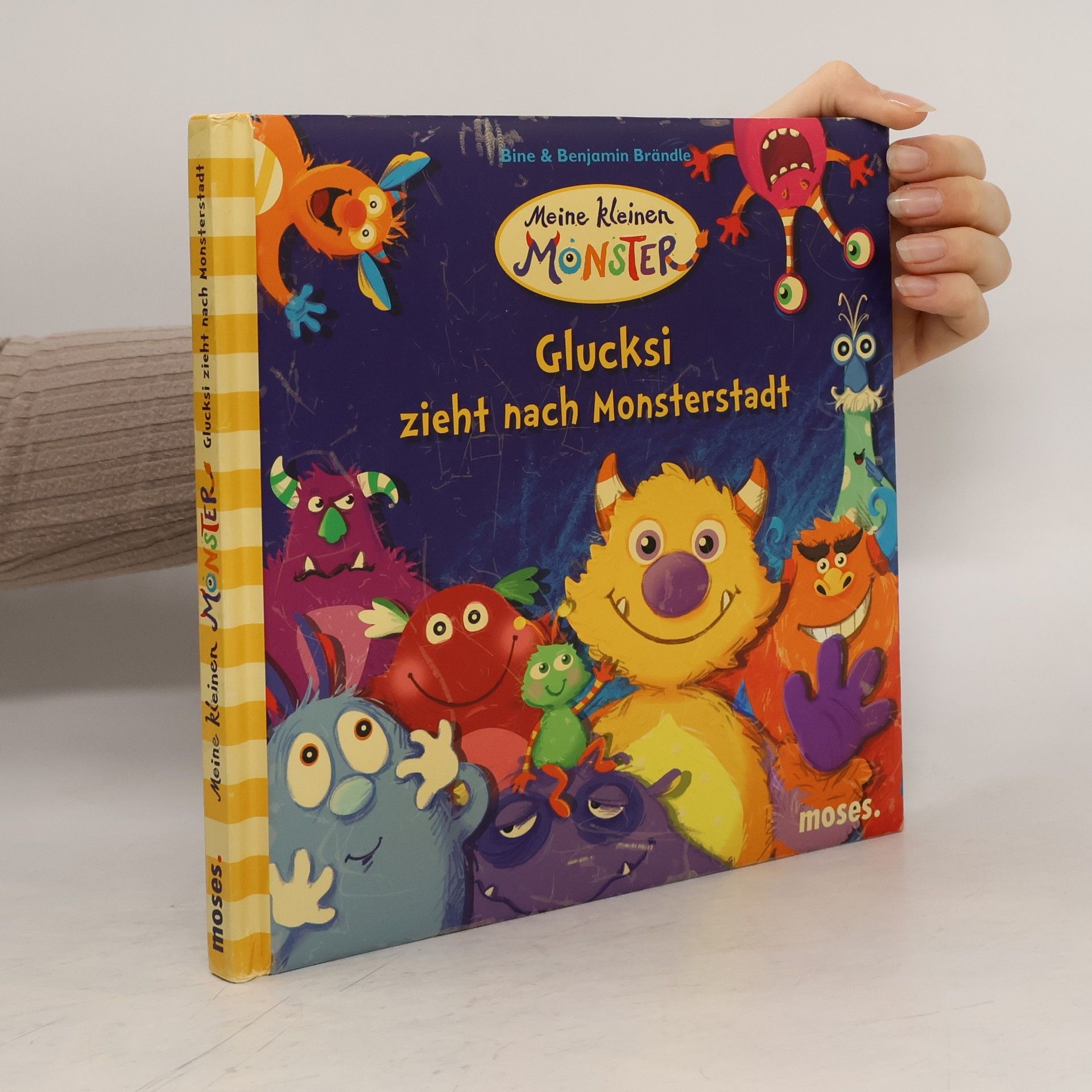 Bine Brändle Meine kleinen Monster: Glucksi zieht nach Monsterstadt