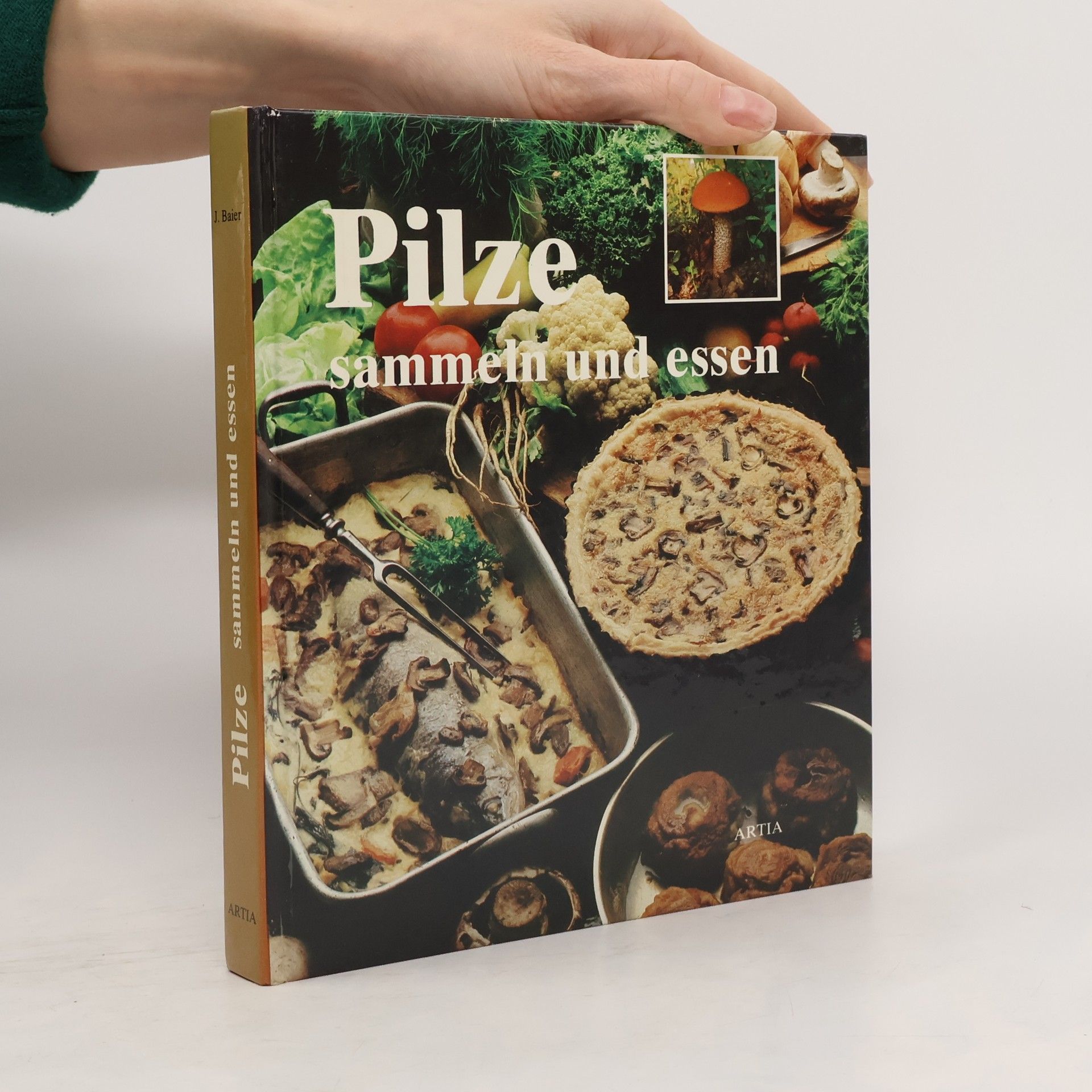 Pilze sammeln und essen