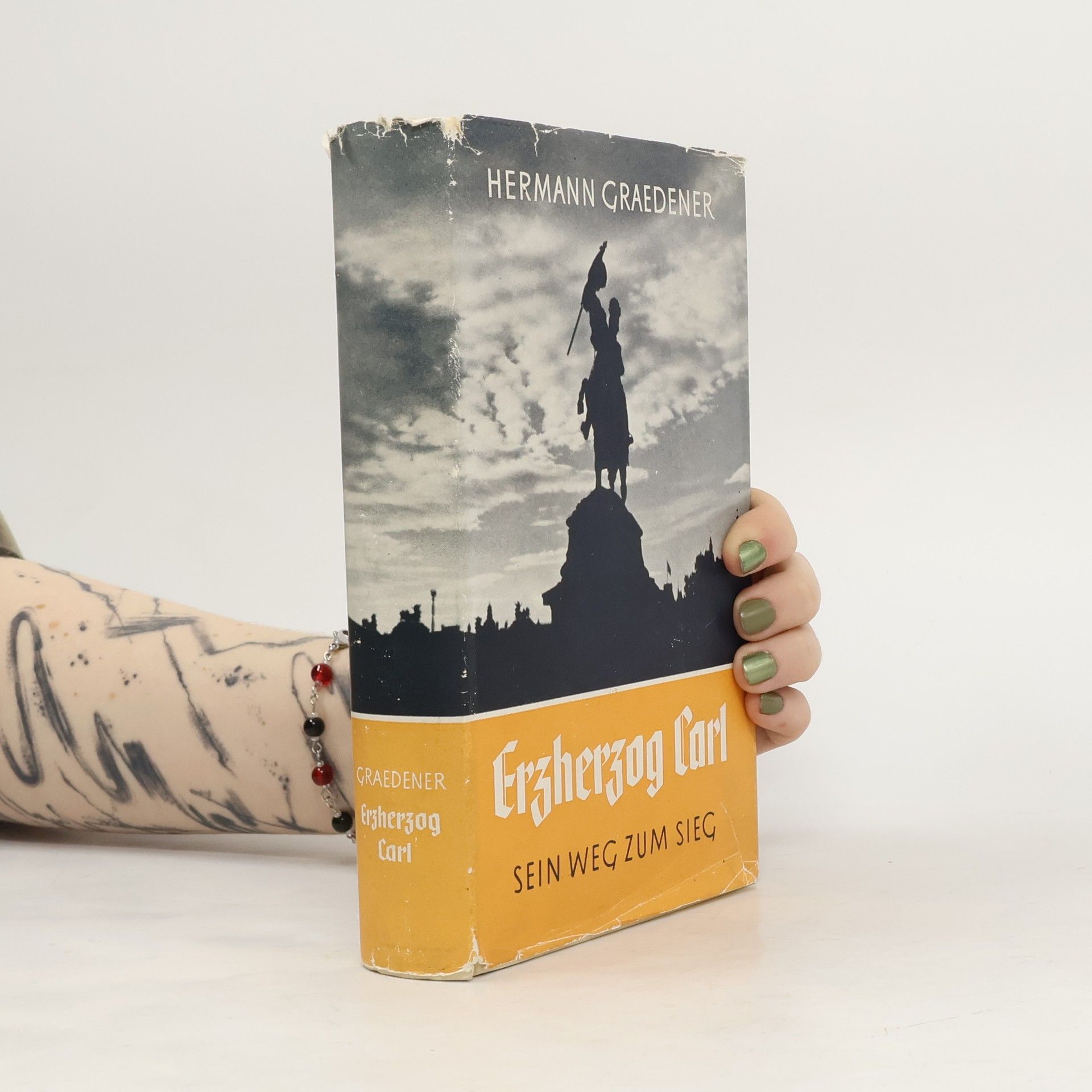 Erzherzog Carl. Sein Weg zum Sieg