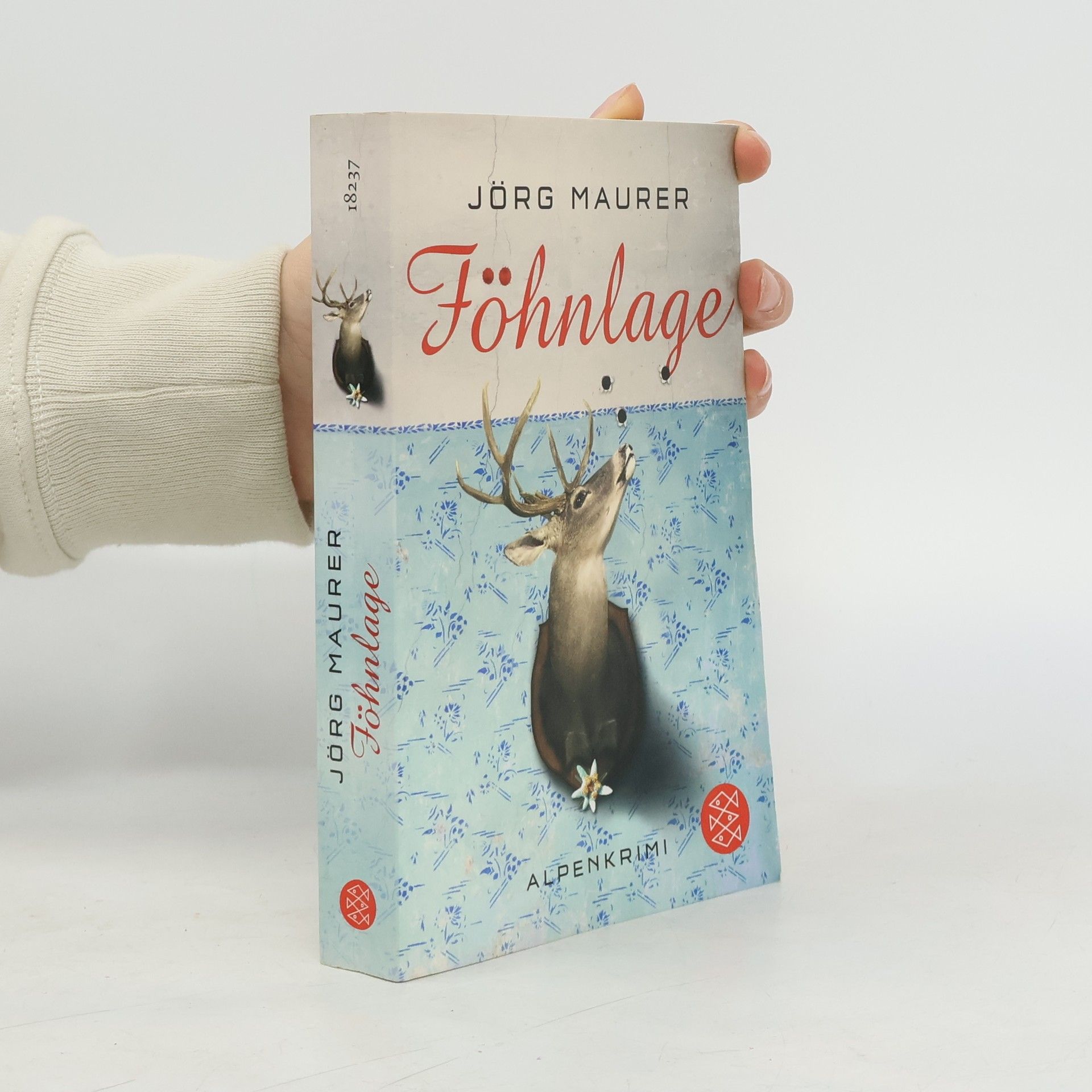 Jörg Maurer Föhnlage