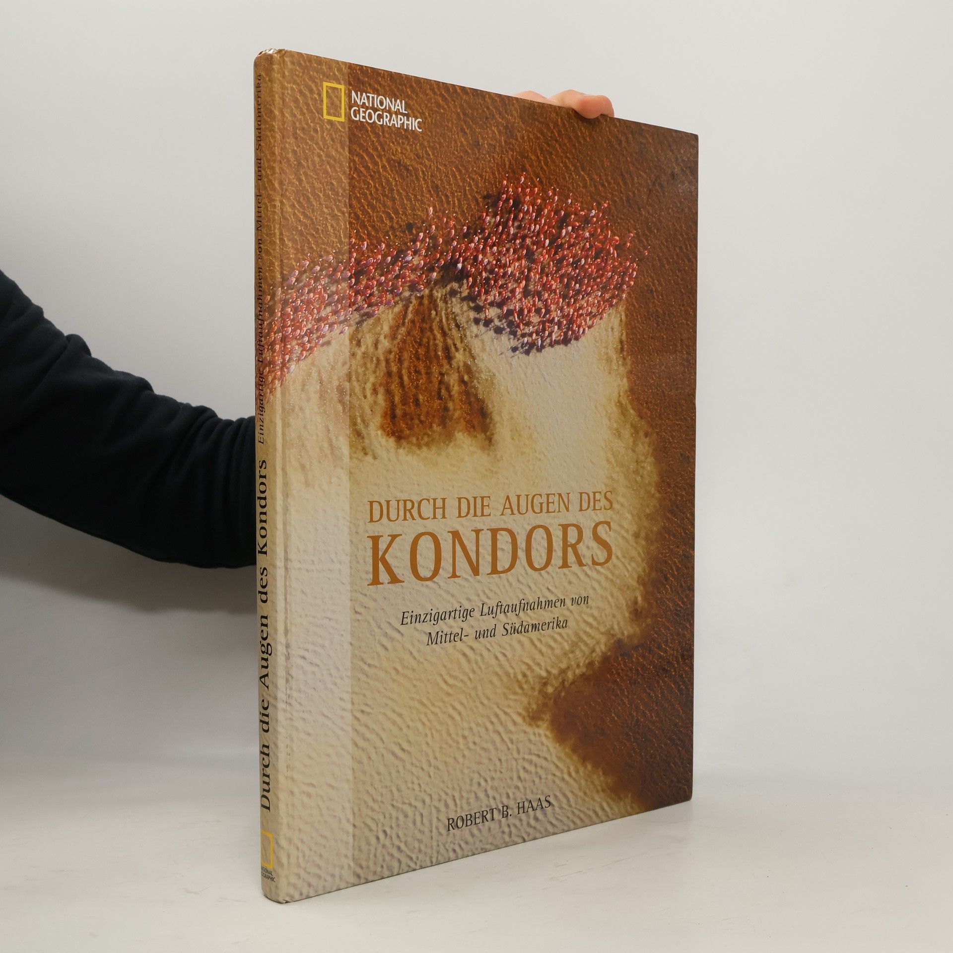 Durch die Augen des Kondors