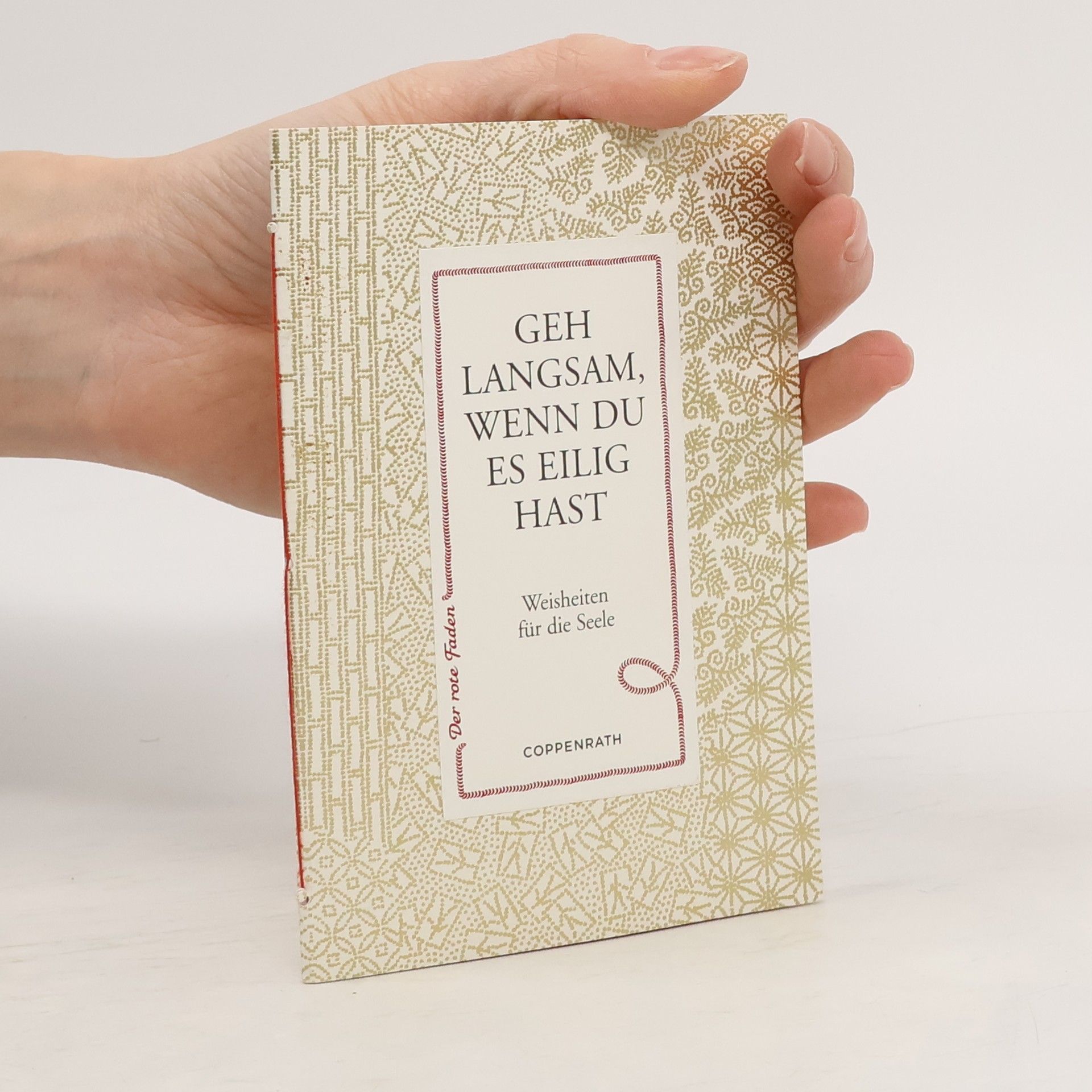 Kolektív autorov Geh langsam, wenn du es eilig hast