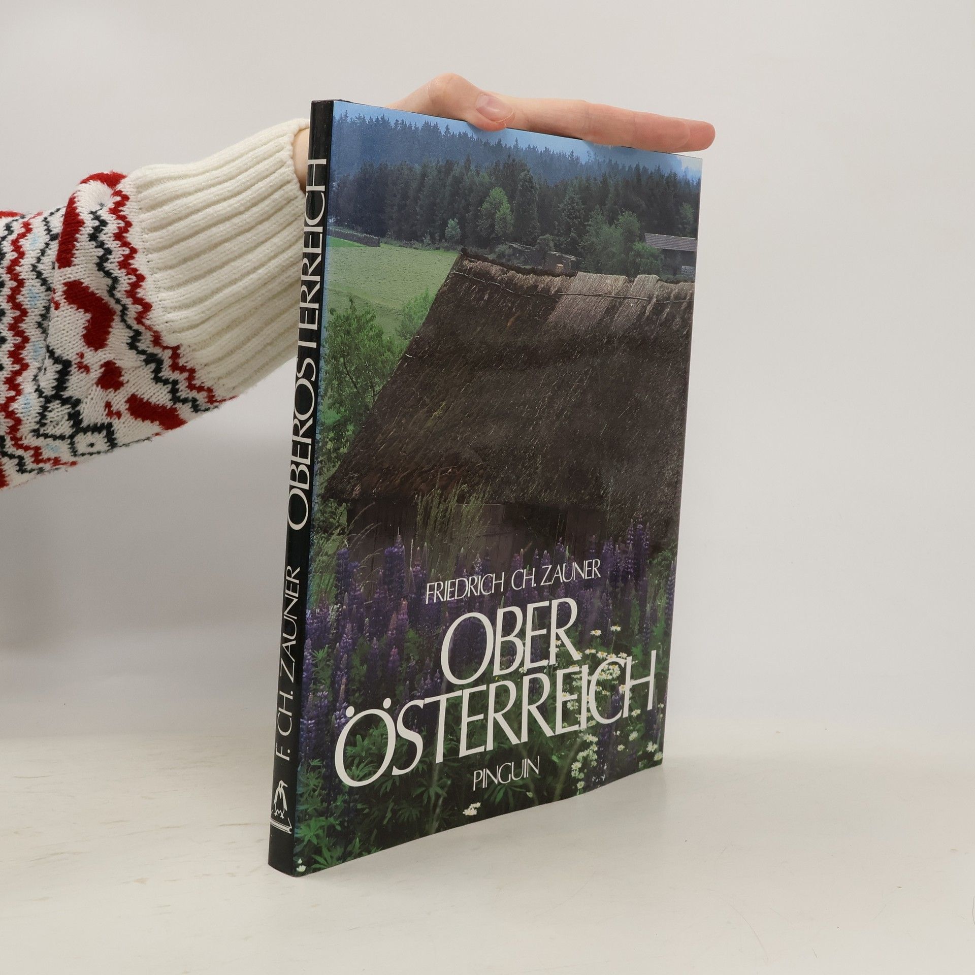 Joachen Pabst Oberösterreich