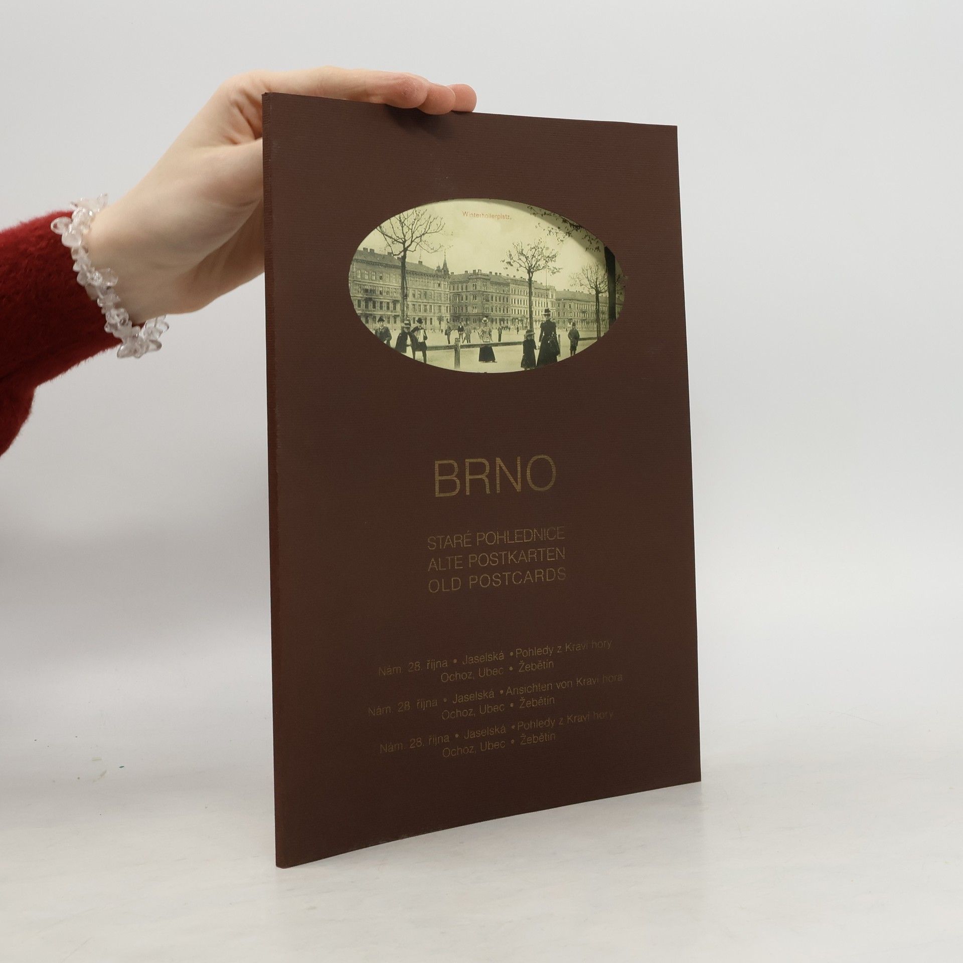 Vladimír Filip Brno - Staré pohlednice XIV.