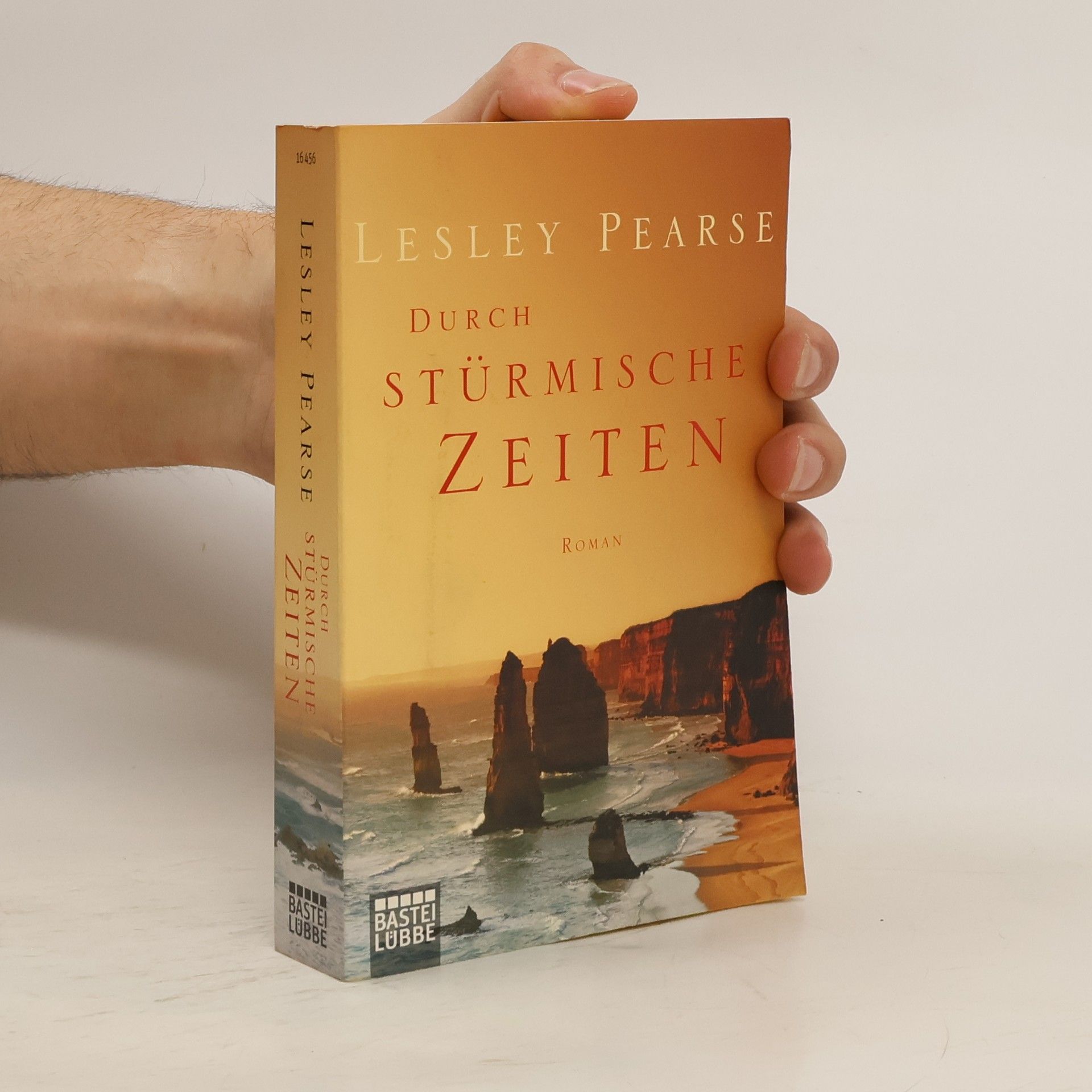 Lesley Pearse Durch stürmische Zeiten