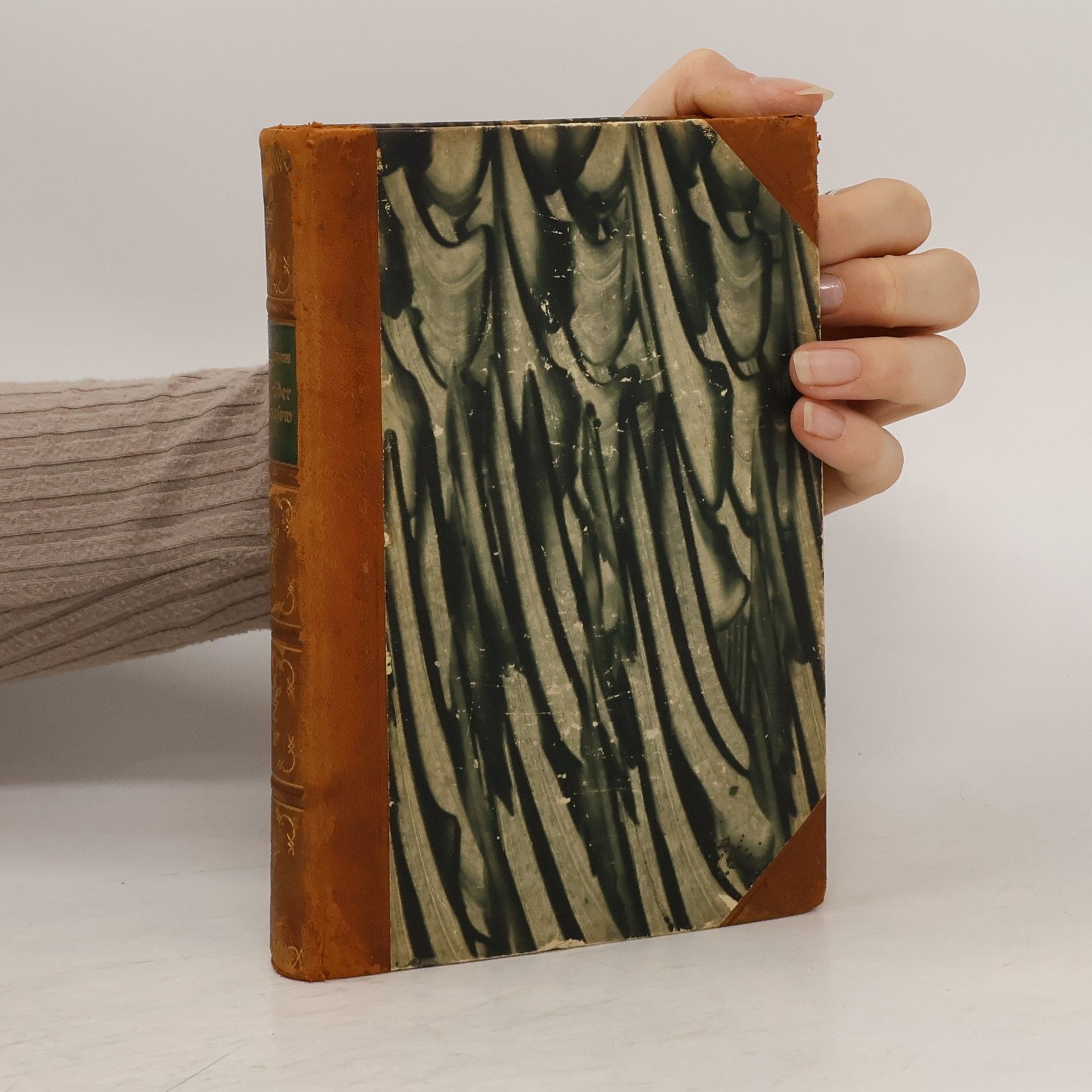 Fjodor Michajlovič Dostojevskij Die Brüder Karamasow