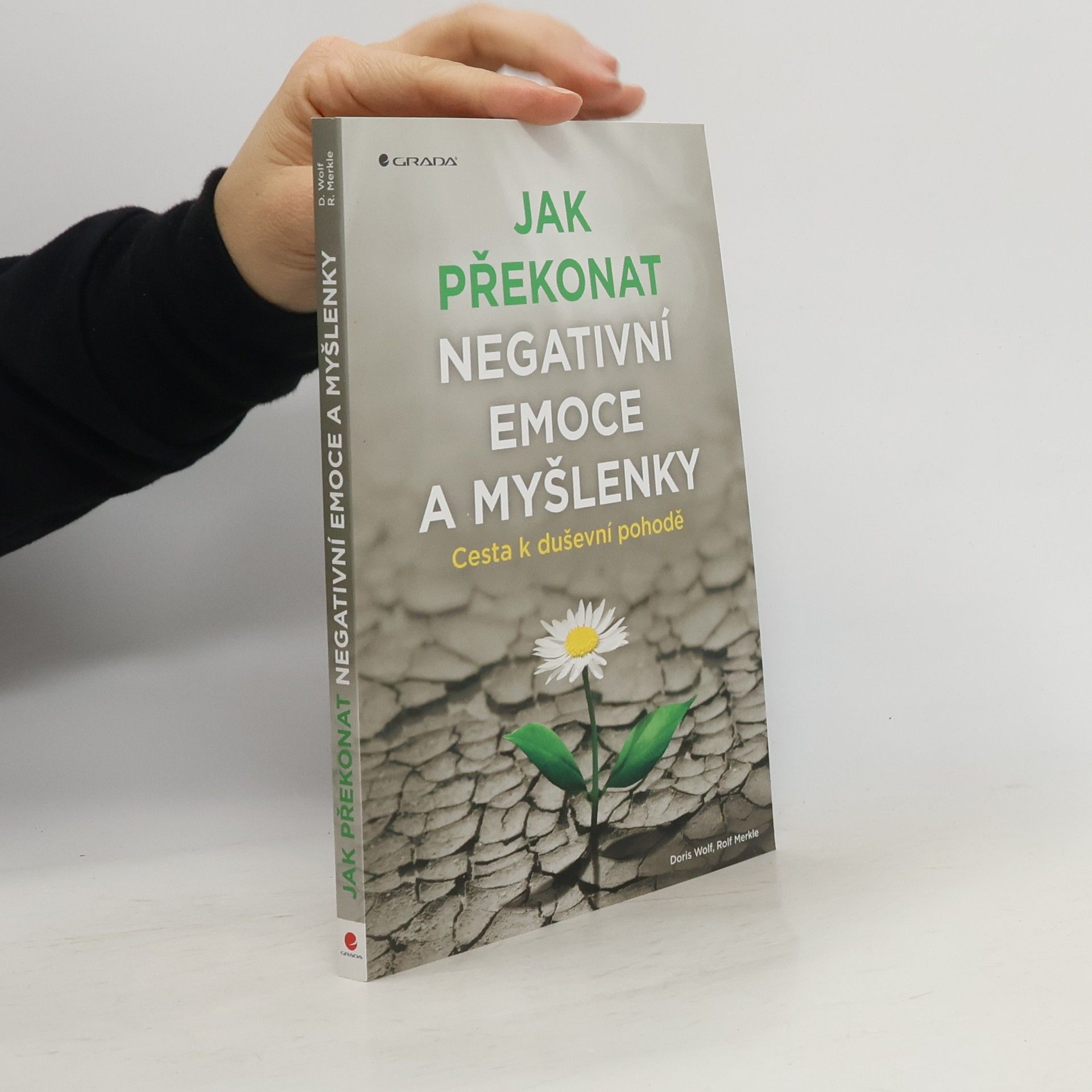 Jak překonat negativní emoce a myšlenky : cesta k duševní pohodě