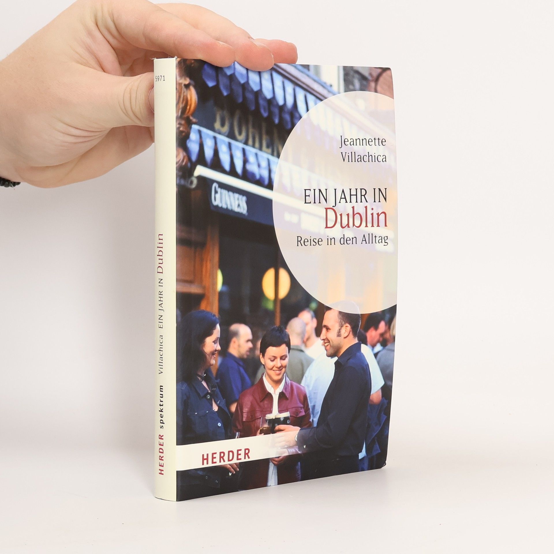 Jeannette Villachica Ein Jahr in Dublin