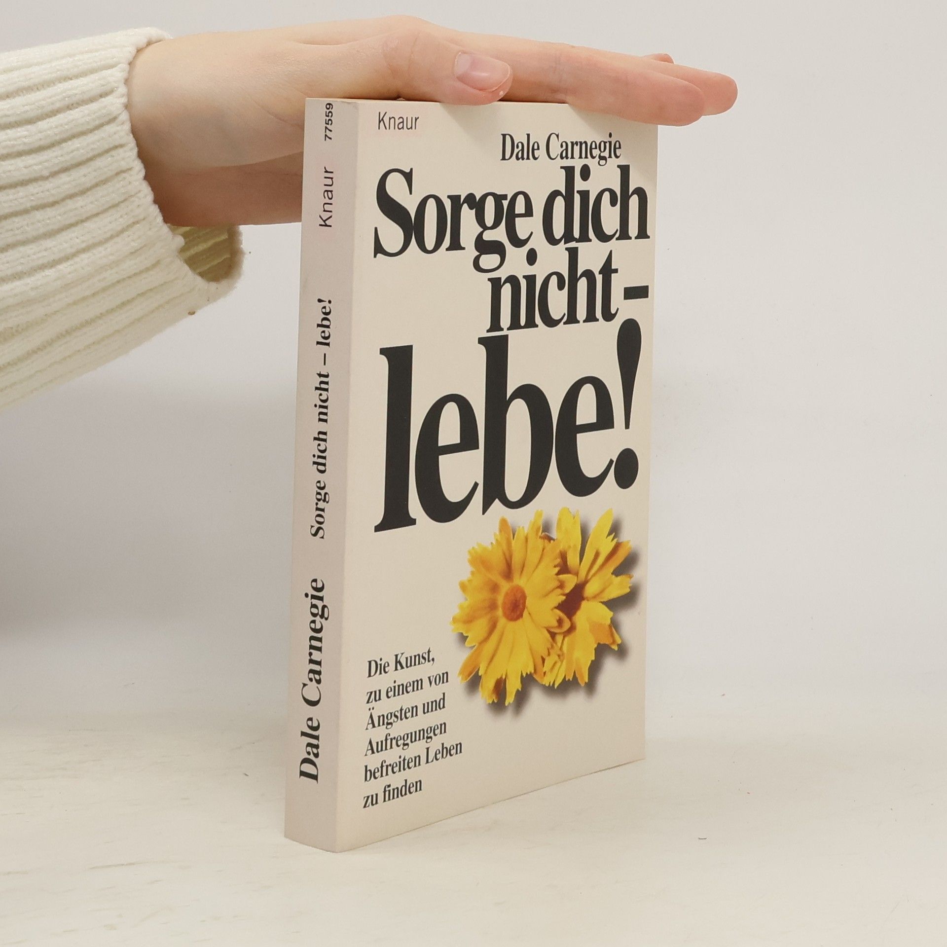 Dale Carnegie Sorge dich nicht - lebe!