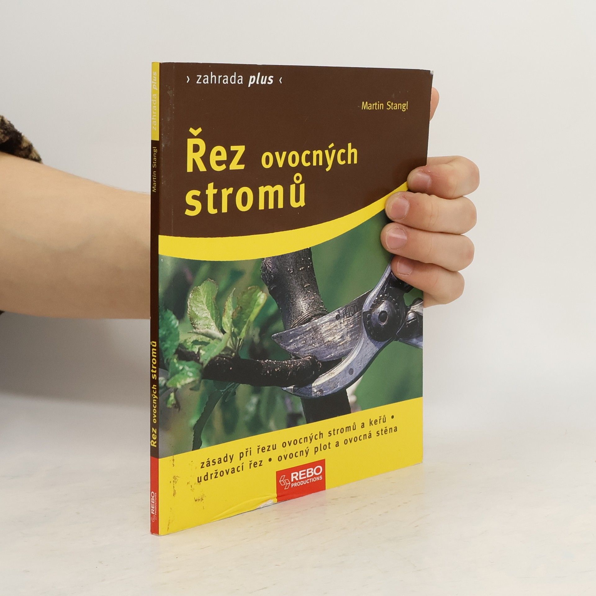 Martin Stangl Řez ovocných stromů: zásady při řezu ovocných stromů a keřů, udržovací řez, ovocný plot a ovocná stěna