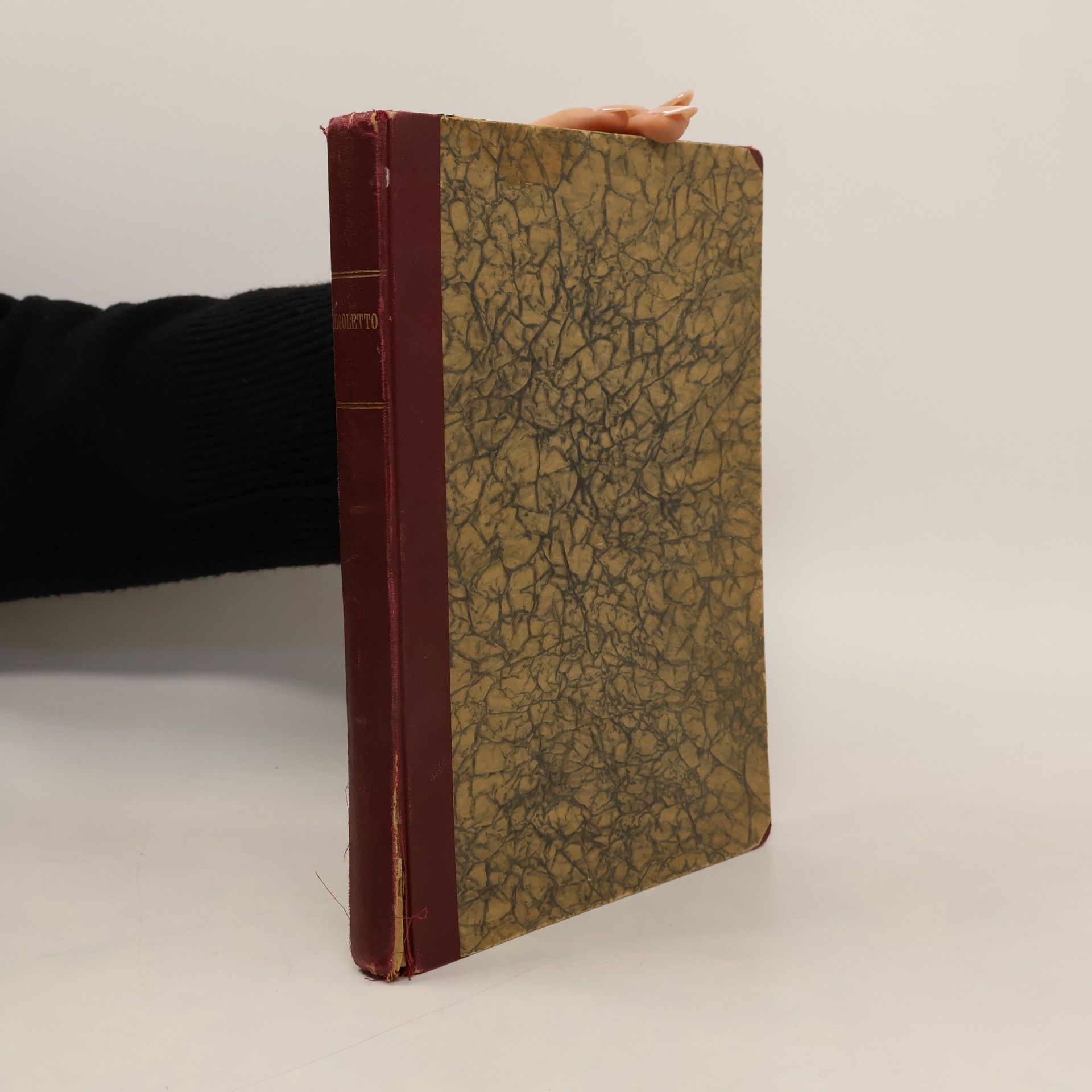 Giuseppe Verdi Rigoletto Oper