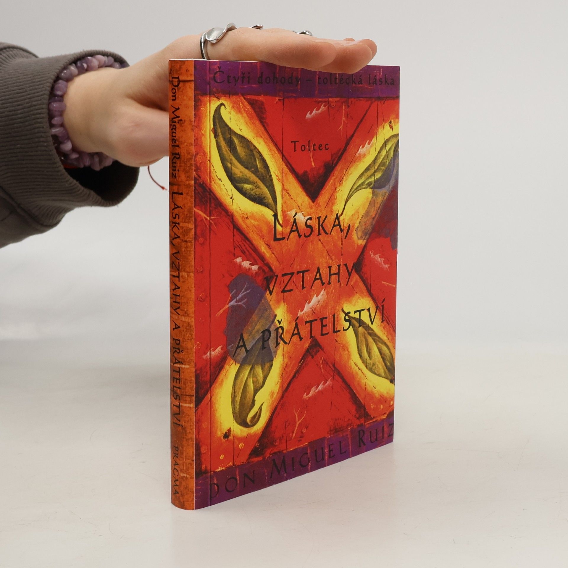 Don Miguel Ruiz Láska, vztahy a přátelství