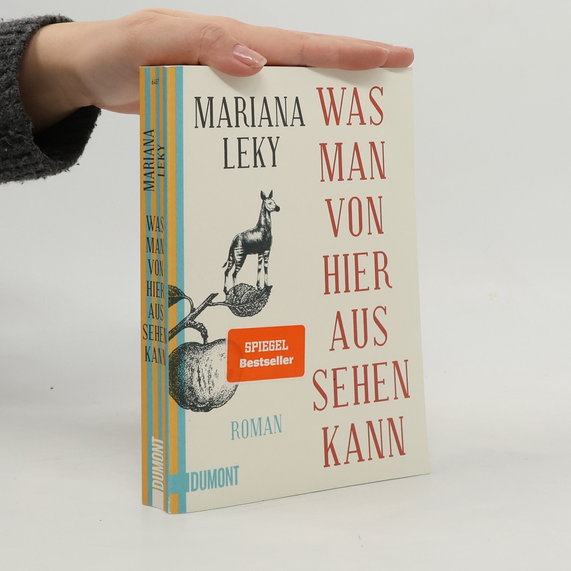 Mariana Leky Was man von hier aus sehen kann