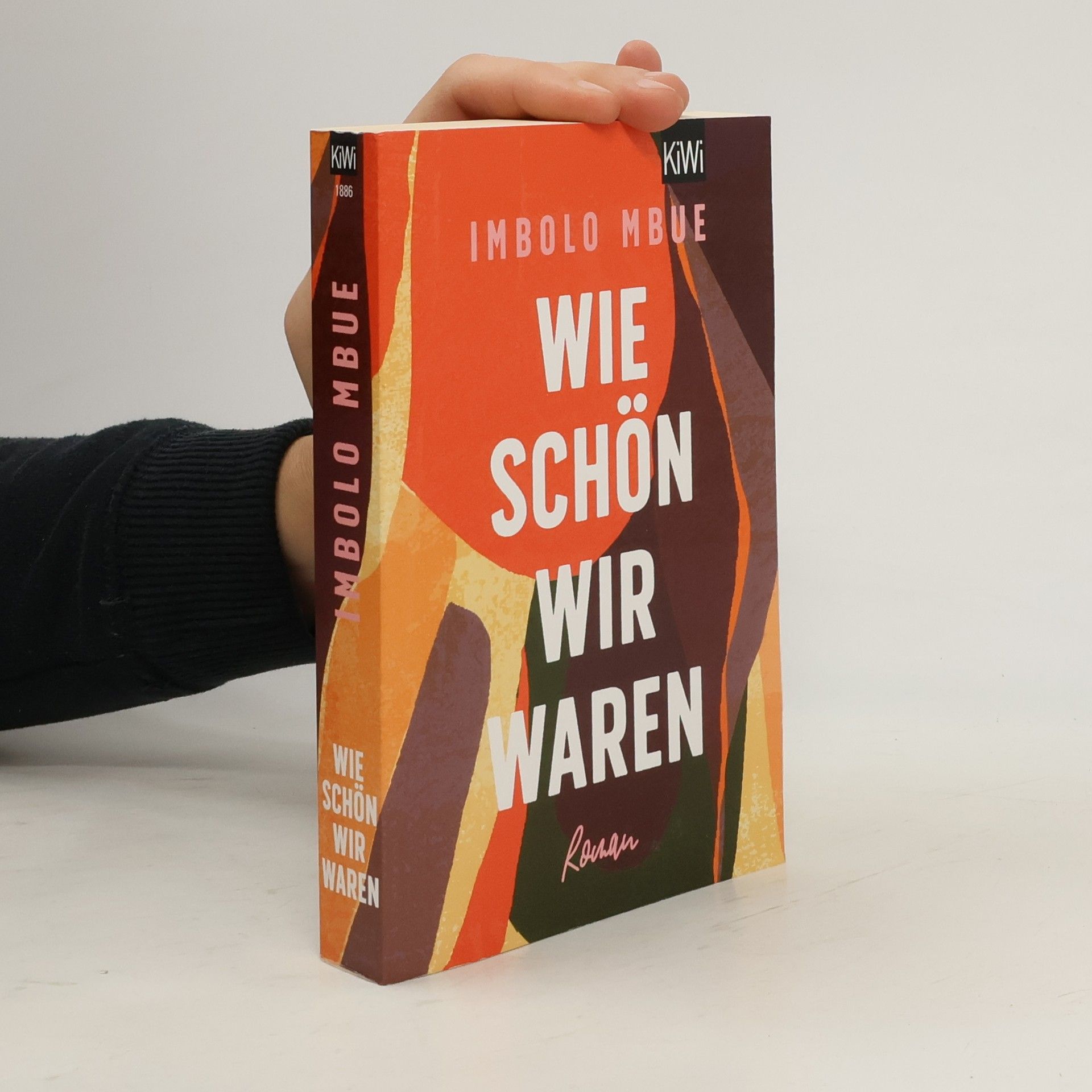 Imbolo Mbue Wie schön wir waren