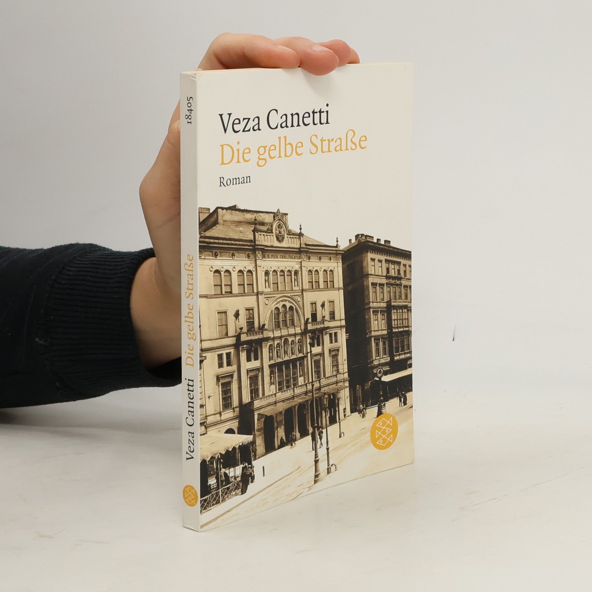 Veza Canetti Die gelbe Straße