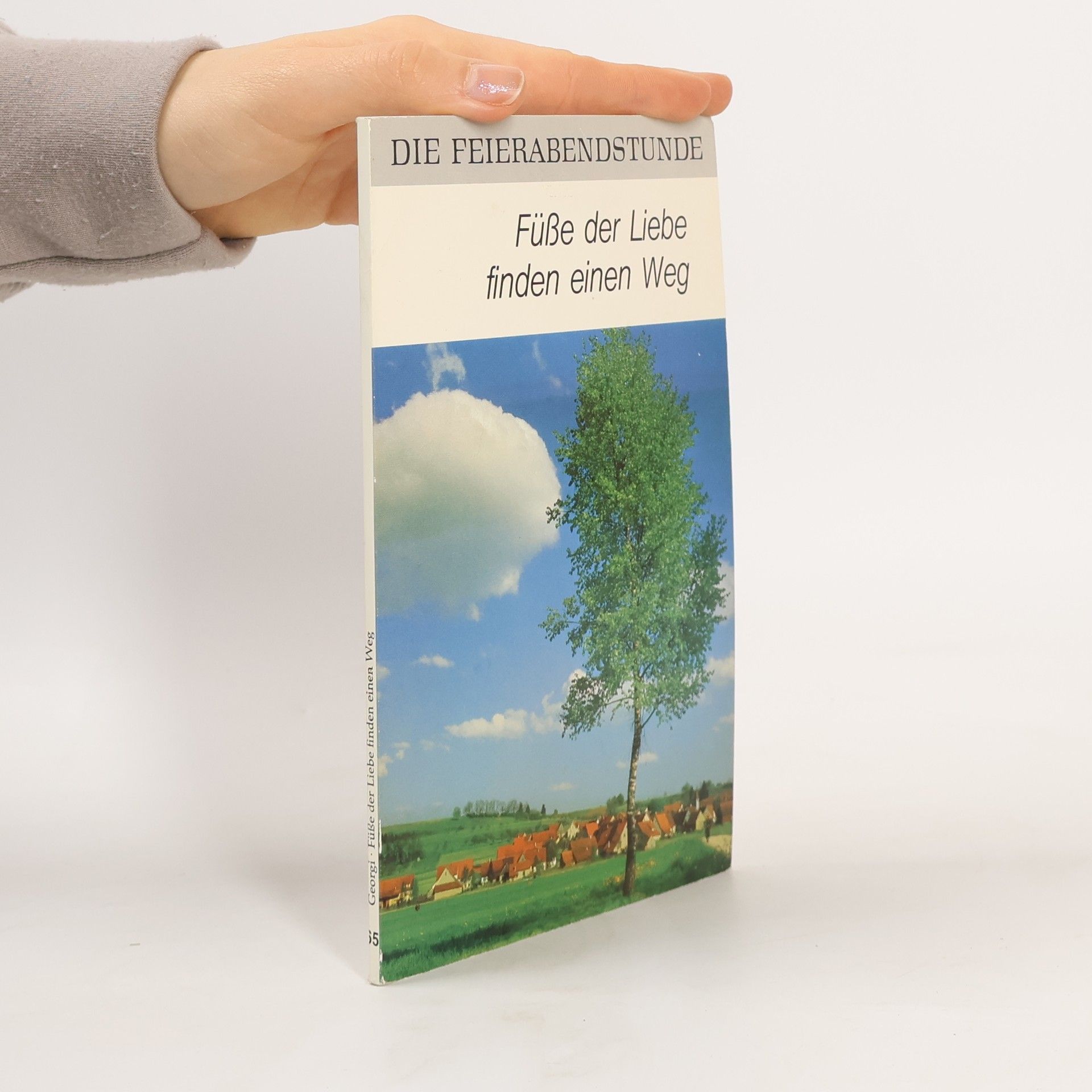 Hanns-Georg Georgi Füße der Liebe finden einen Weg