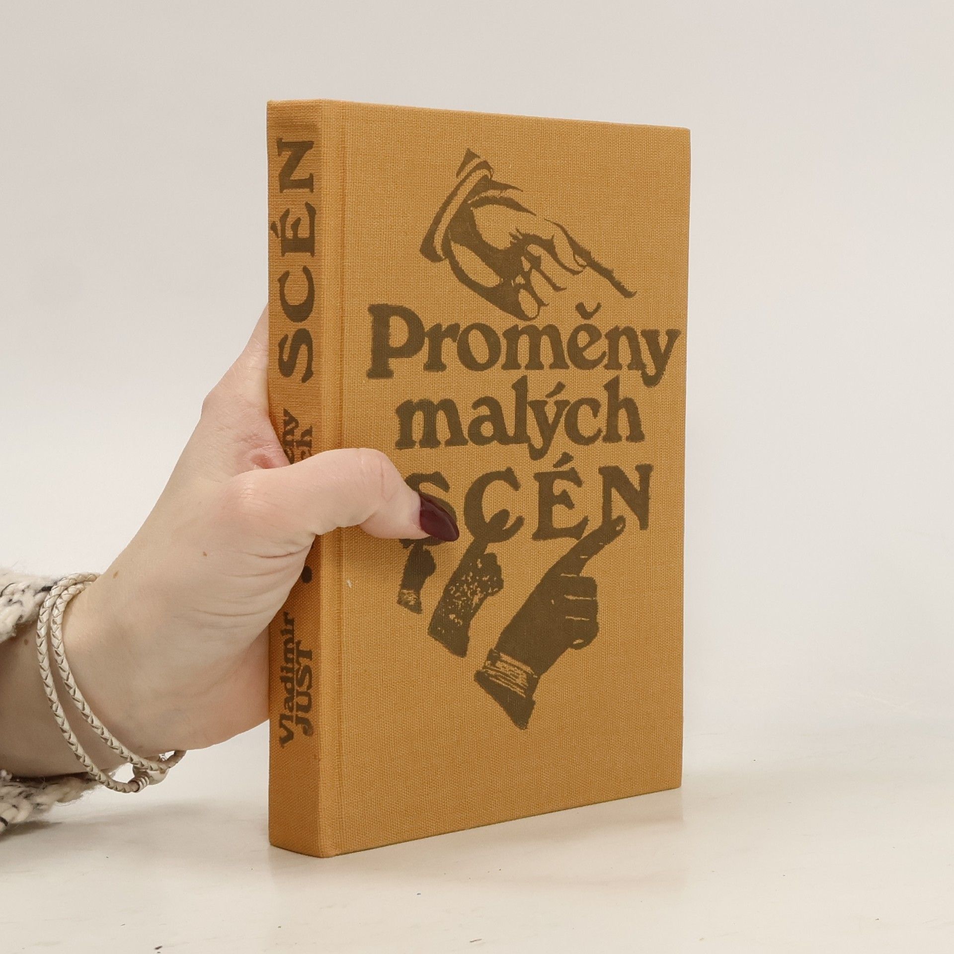 Vladimír Just Proměny malých scén