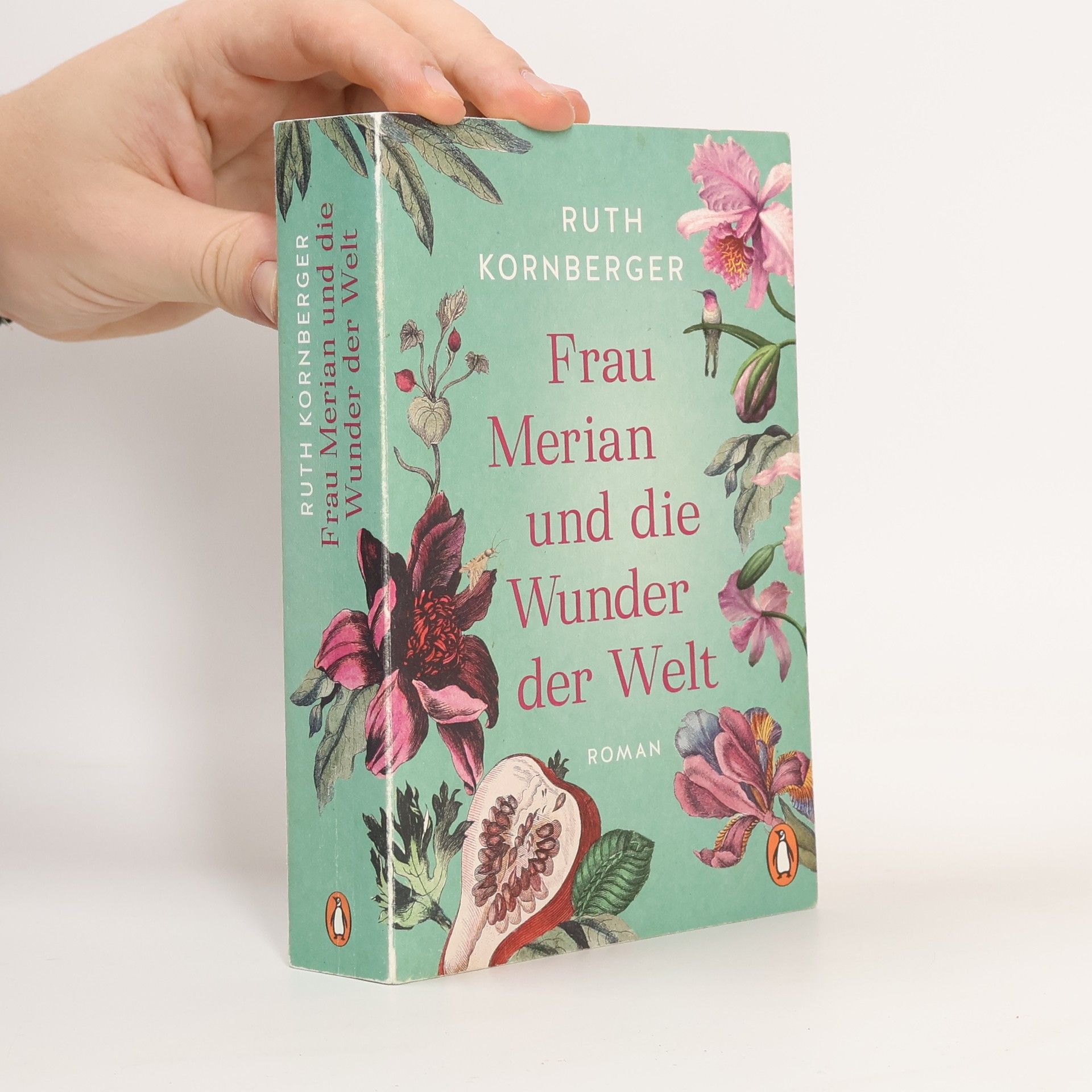 Ruth Kornberger Frau Merian und die Wunder der Welt