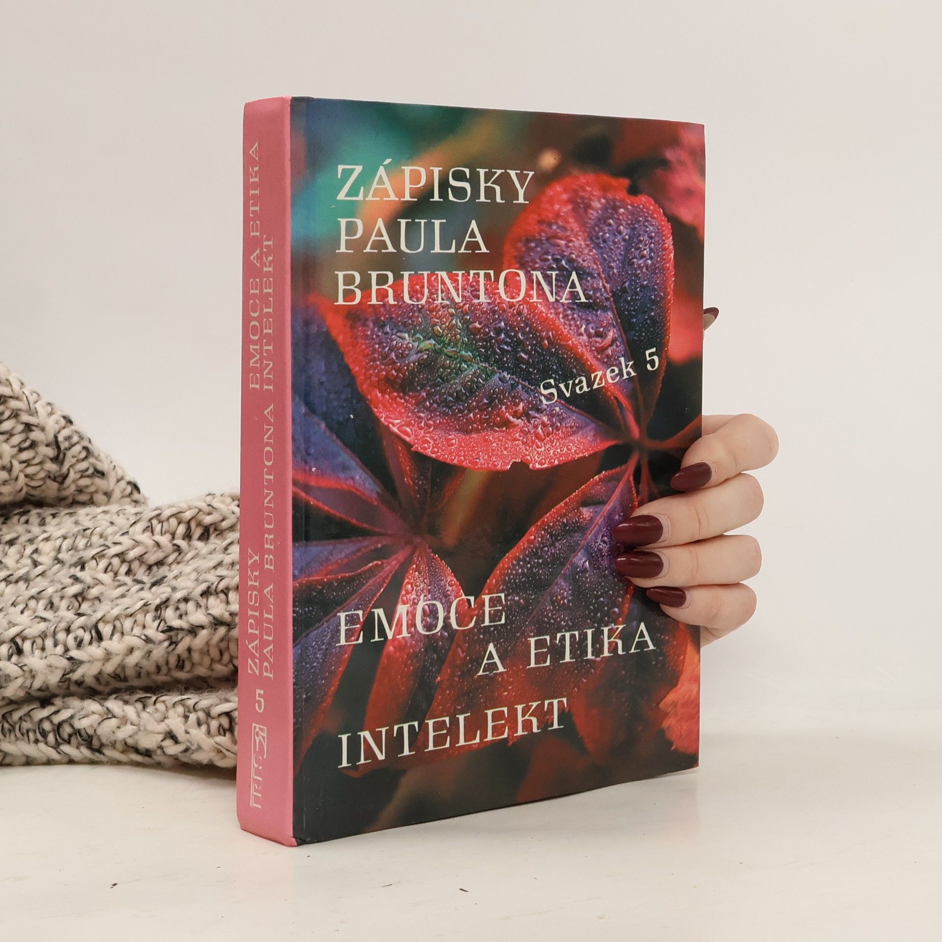 Paul Brunton Zápisky Paula Bruntona. Svazek 5