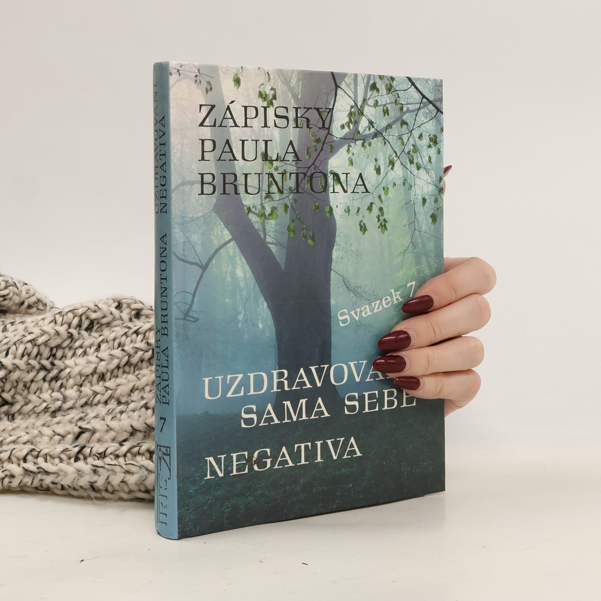 Paul Brunton Zápisky Paula Bruntona : do hloubky rozpracovaná desátá a jedenáctá kategorie ze Zápisků. Svazek 7