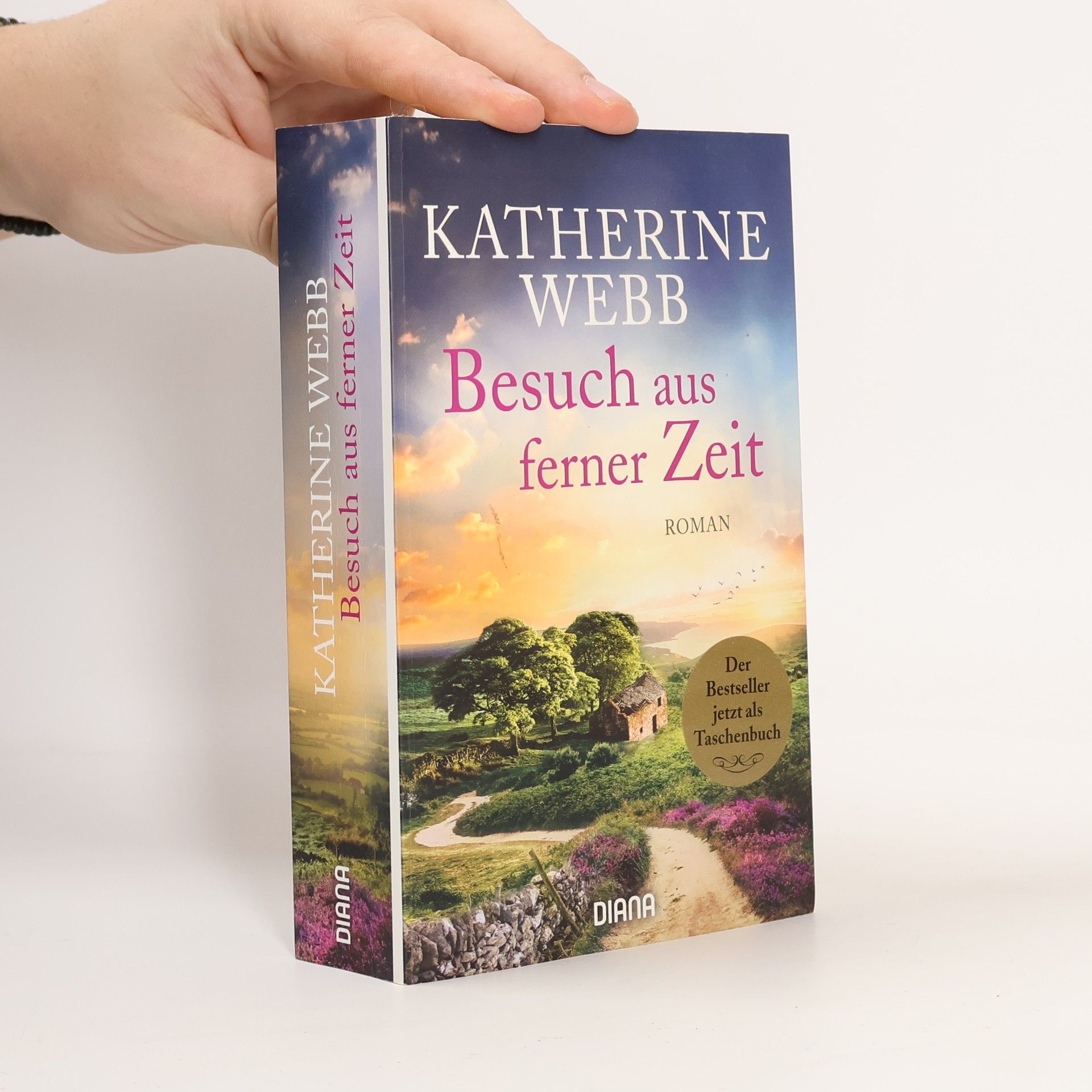 Katherine Webb Besuch aus ferner Zeit