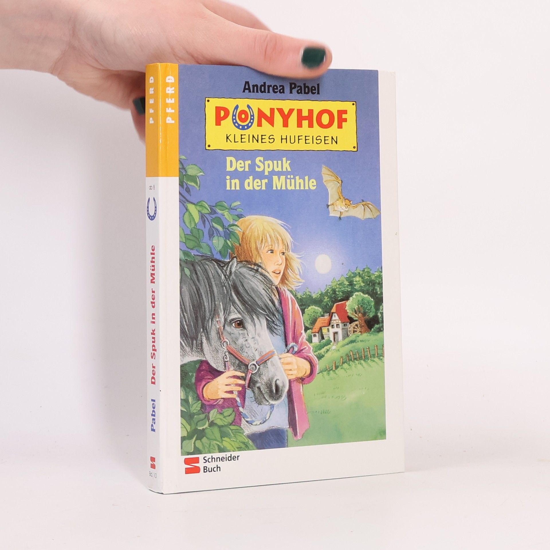Andrea Pabel Der Spuk in der Mühle