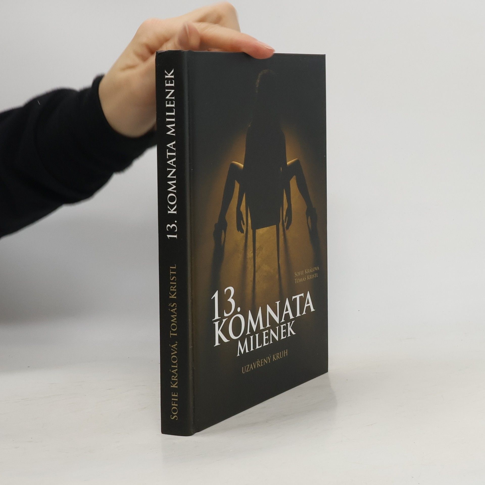 13. komnata milenek. Uzavřený kruh