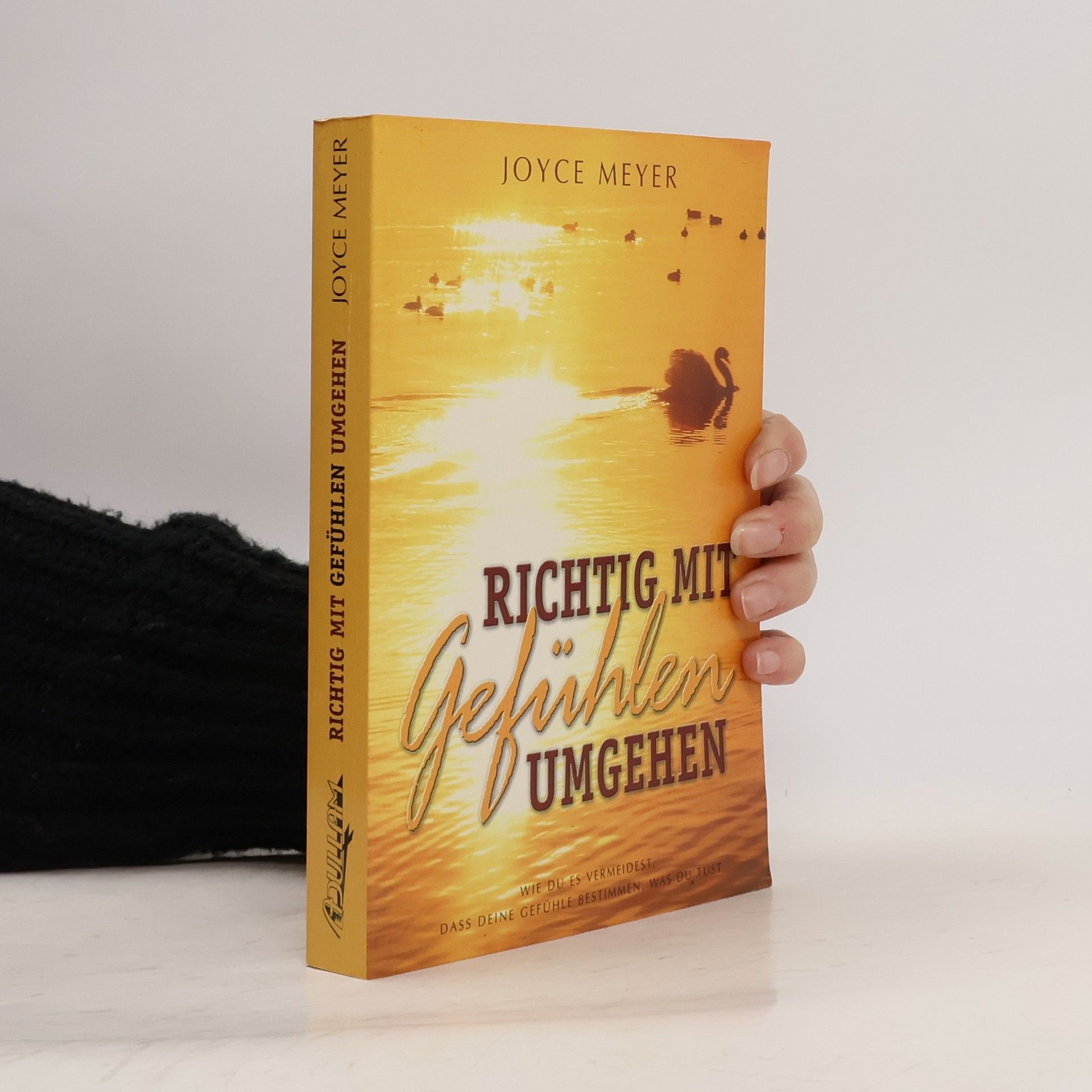 Joyce Meyer Richtig mit Gefühlen umgehen