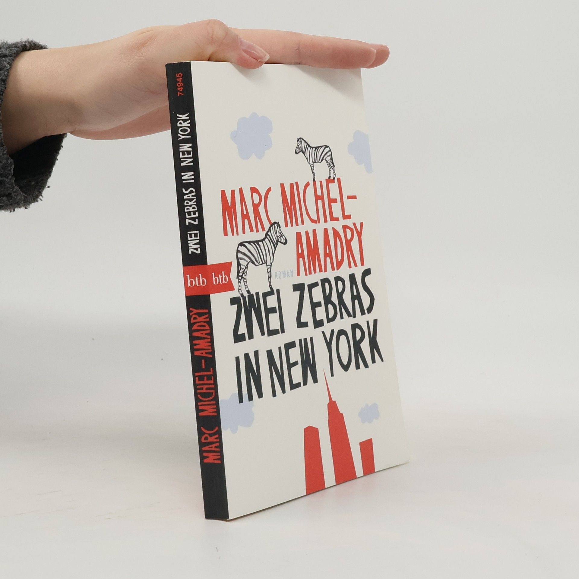 Zwei Zebras in New York