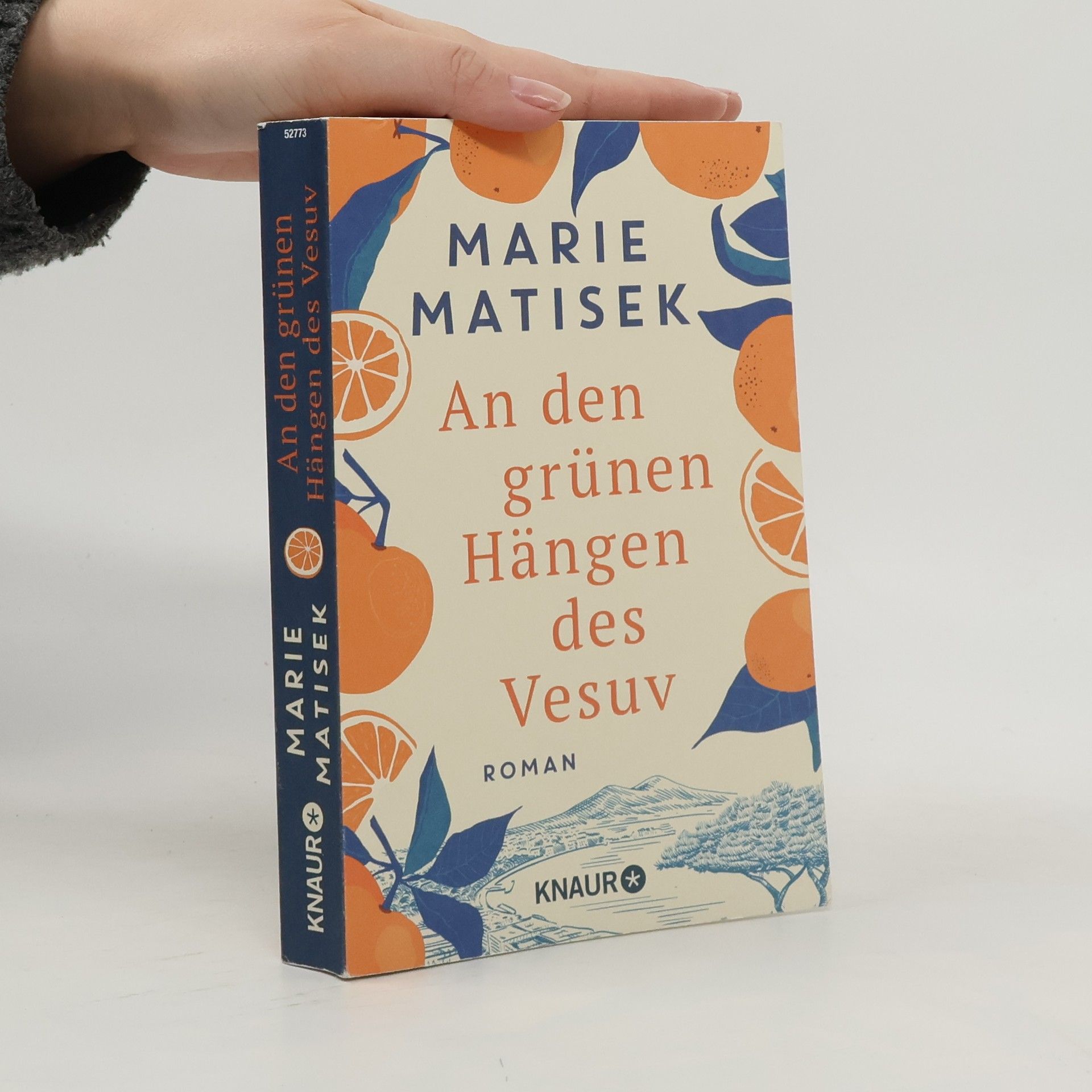 Marie Matisek An den grünen Hängen des Vesuv