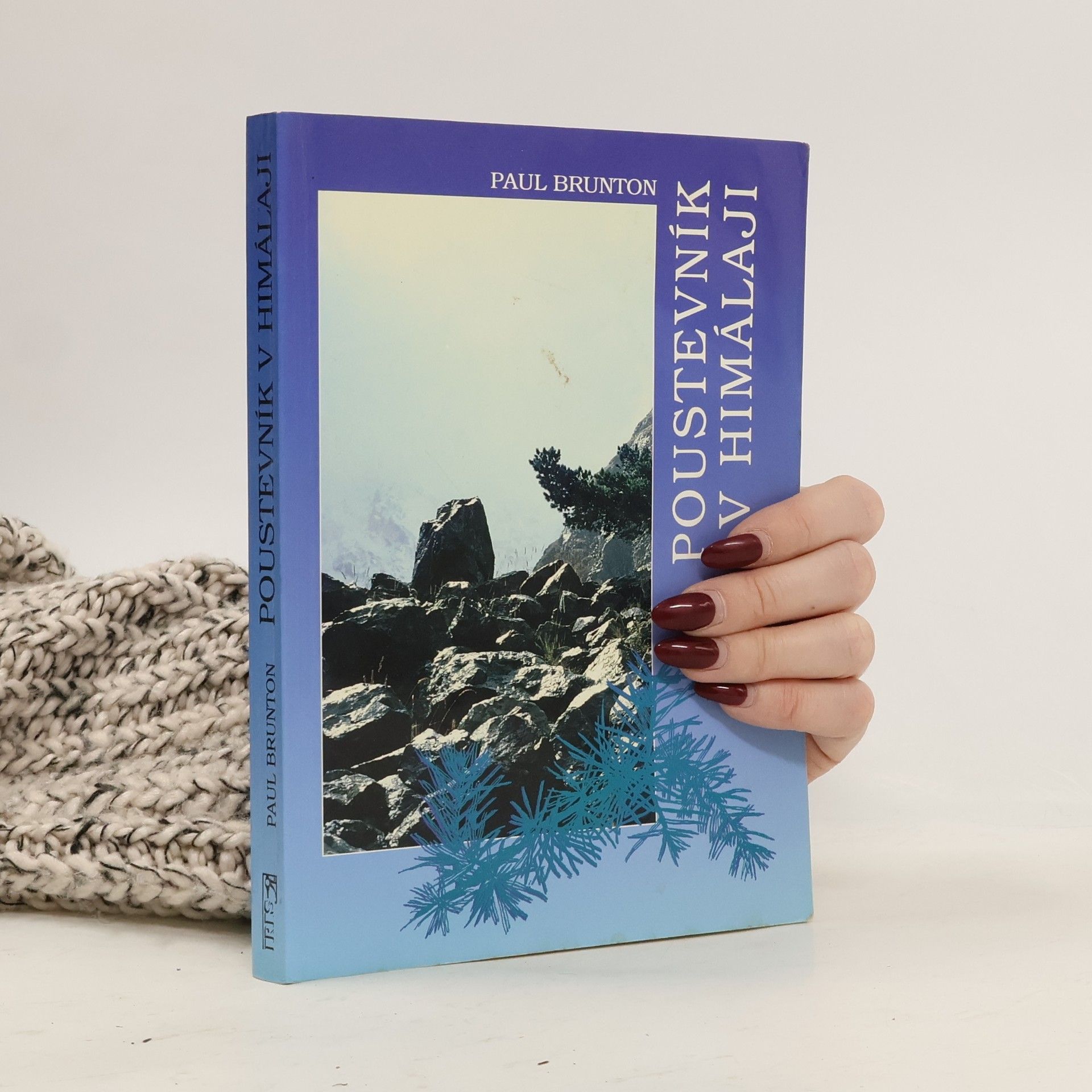 Paul Brunton Poustevník v Himálaji