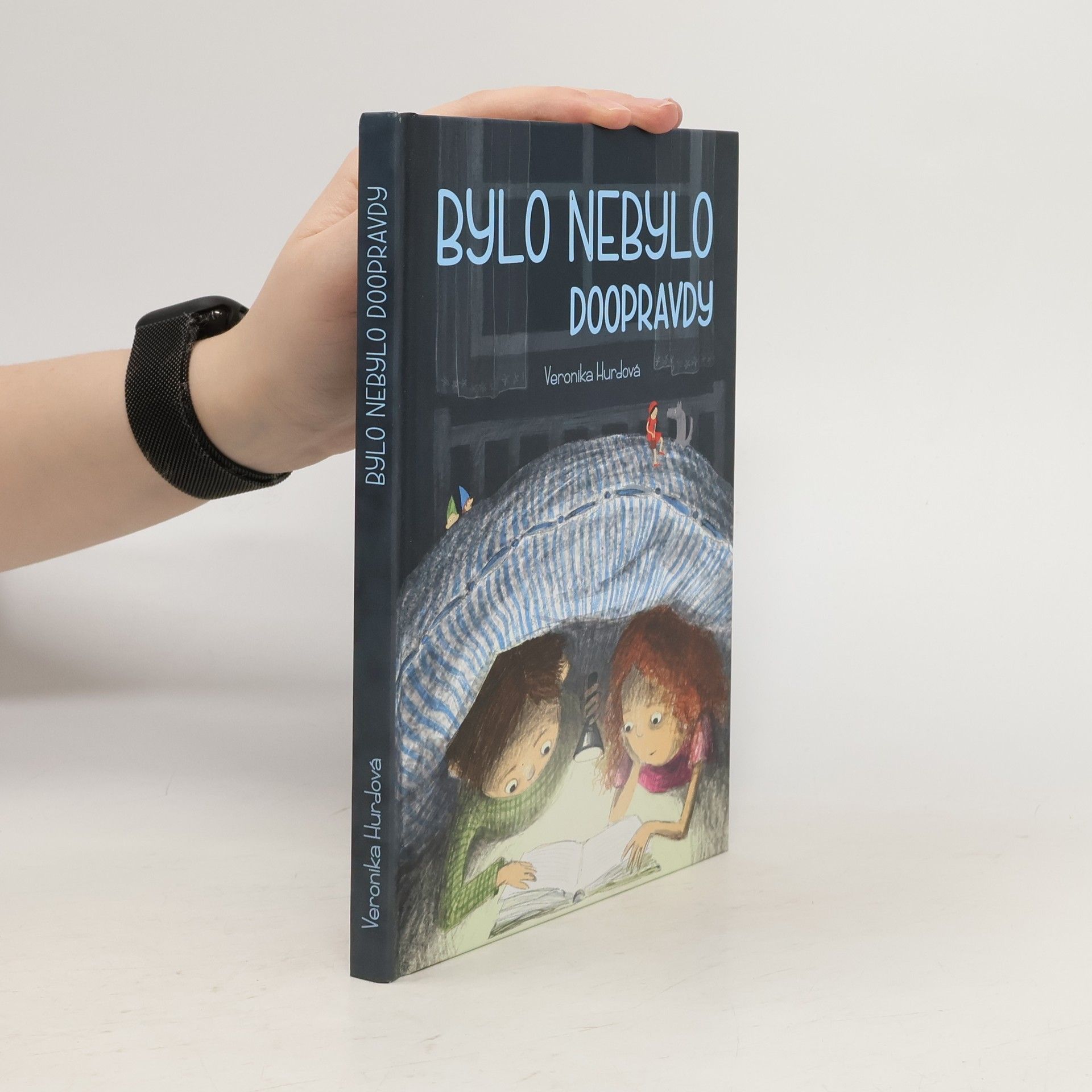 Bylo nebylo doopravdy