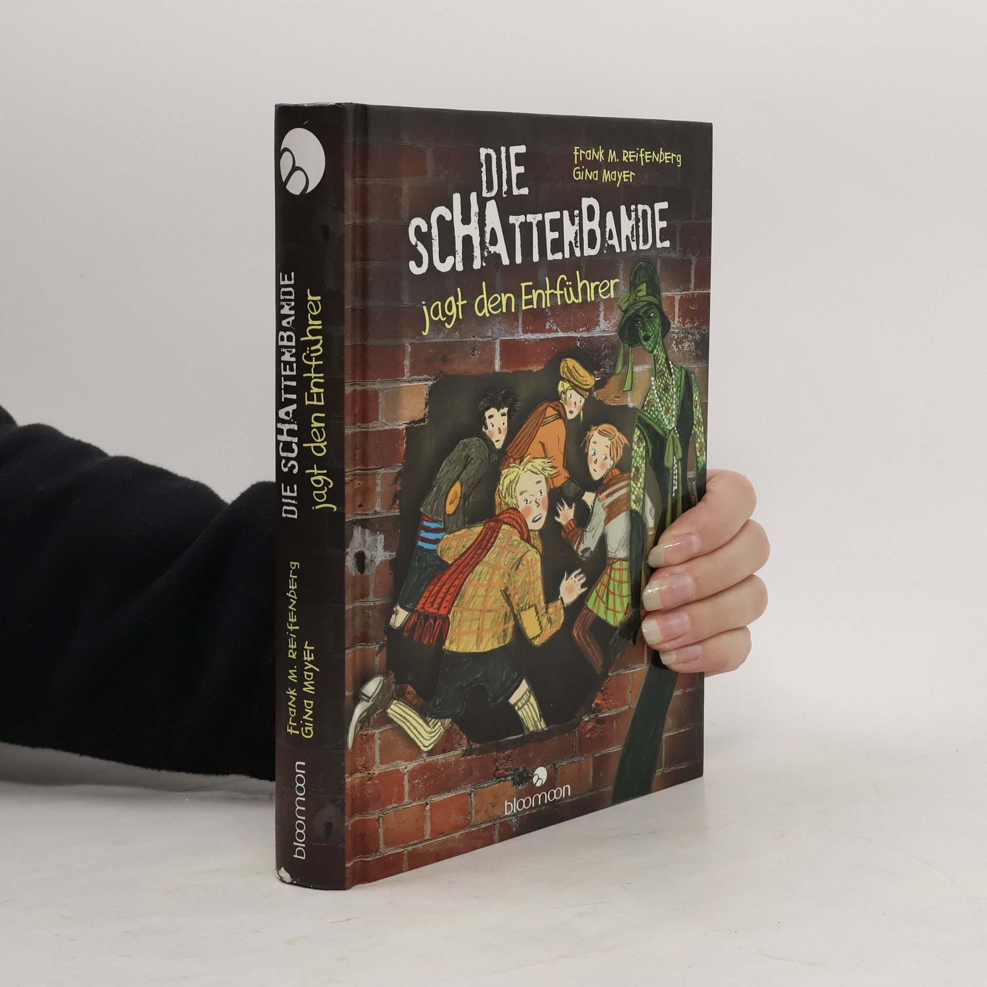 Gina Mayer Die Schattenbande jagt den Entführer