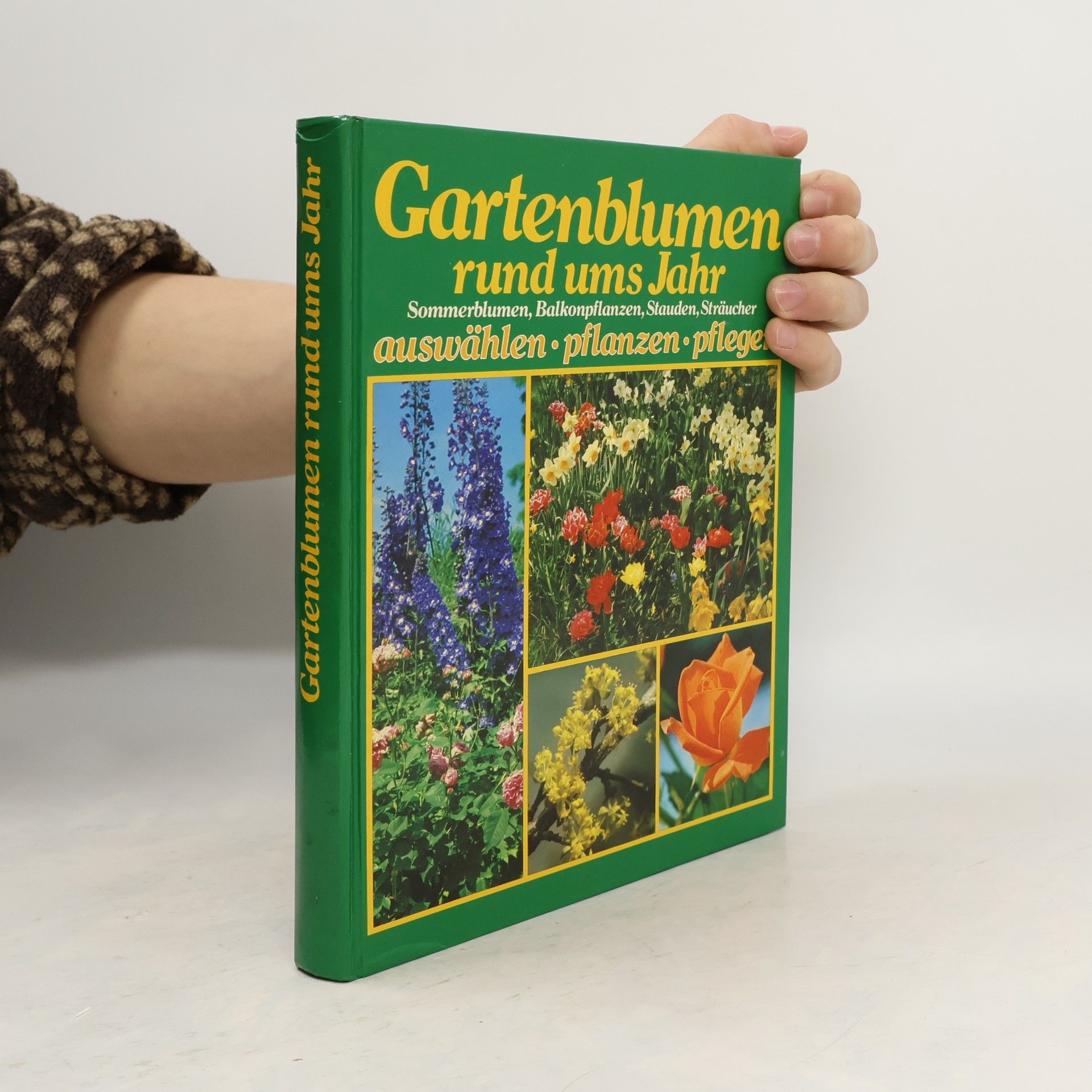 Collectif d'auteurs Gartenblumen rund ums Jahr