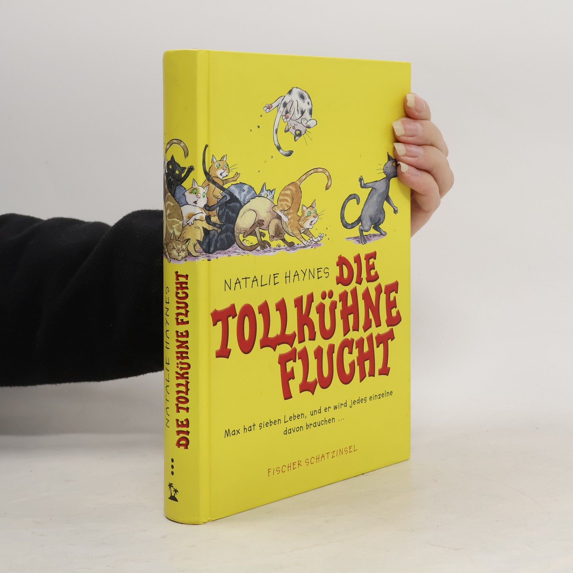 Natalie Haynes Die tollkühne Flucht