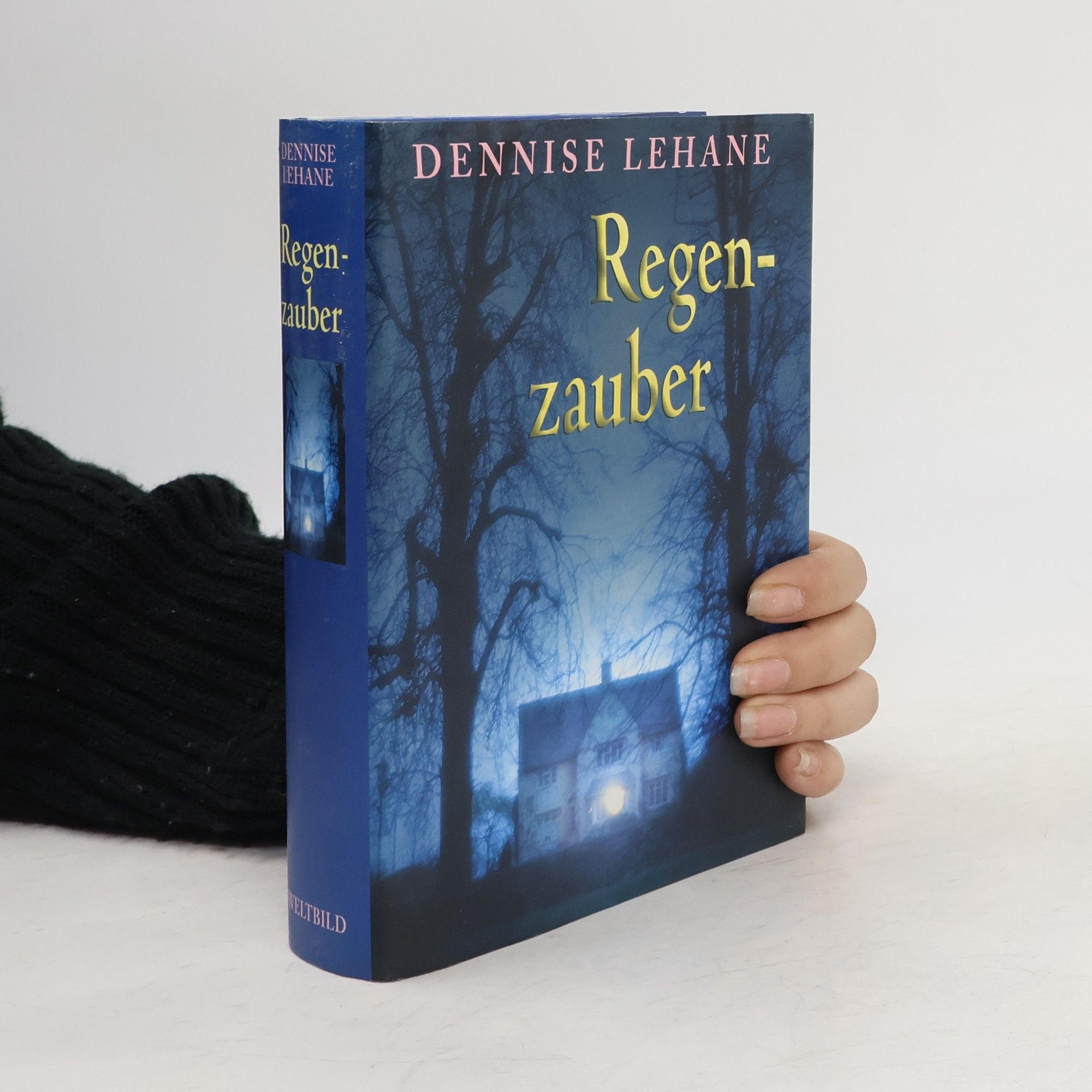 Dennis Lehane Regenzauber