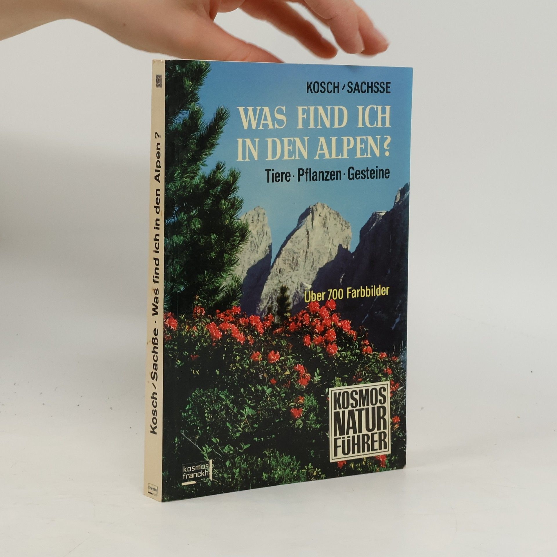 Was find ich in den Alpen?