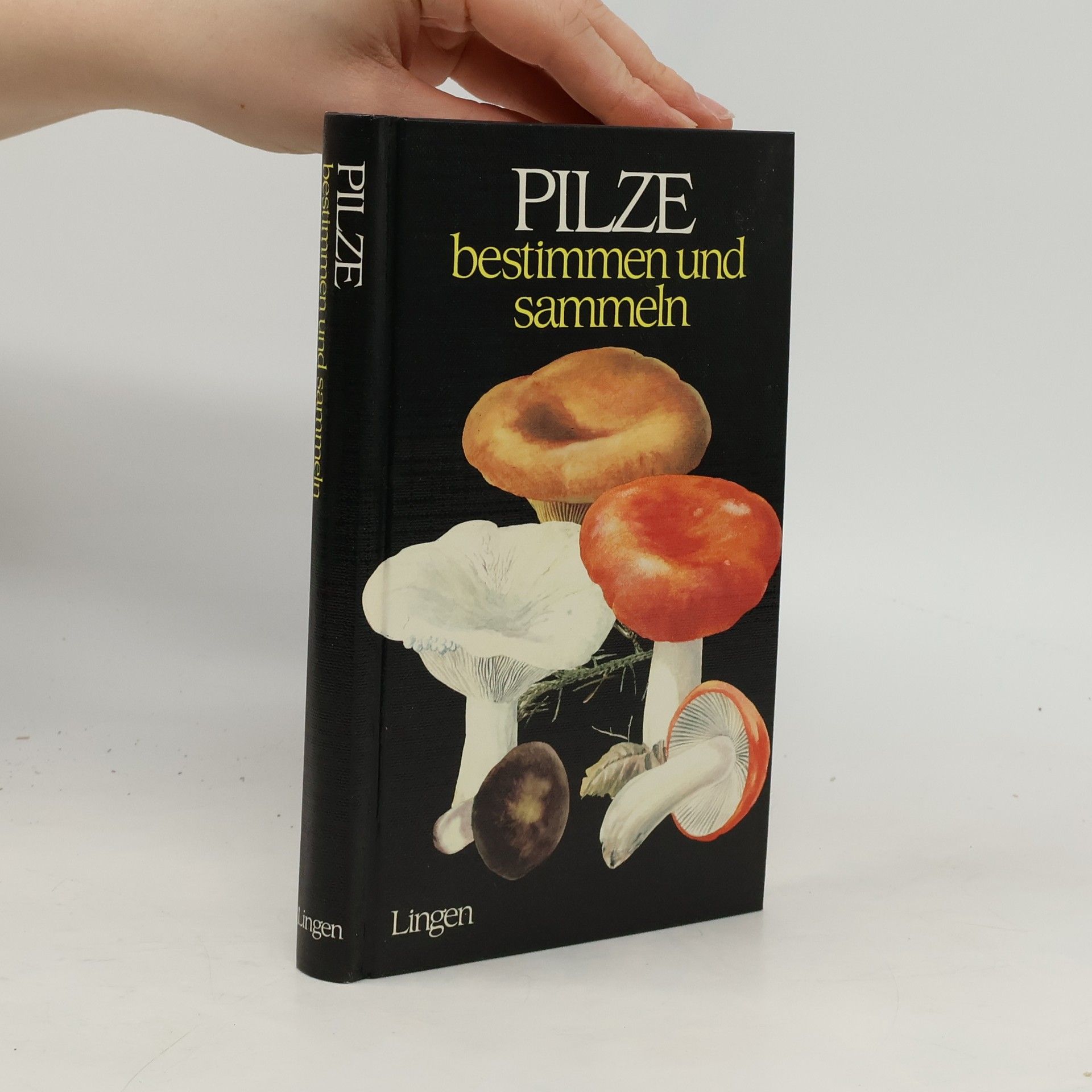 Collectif d'auteurs Pilze bestimmen und sammeln