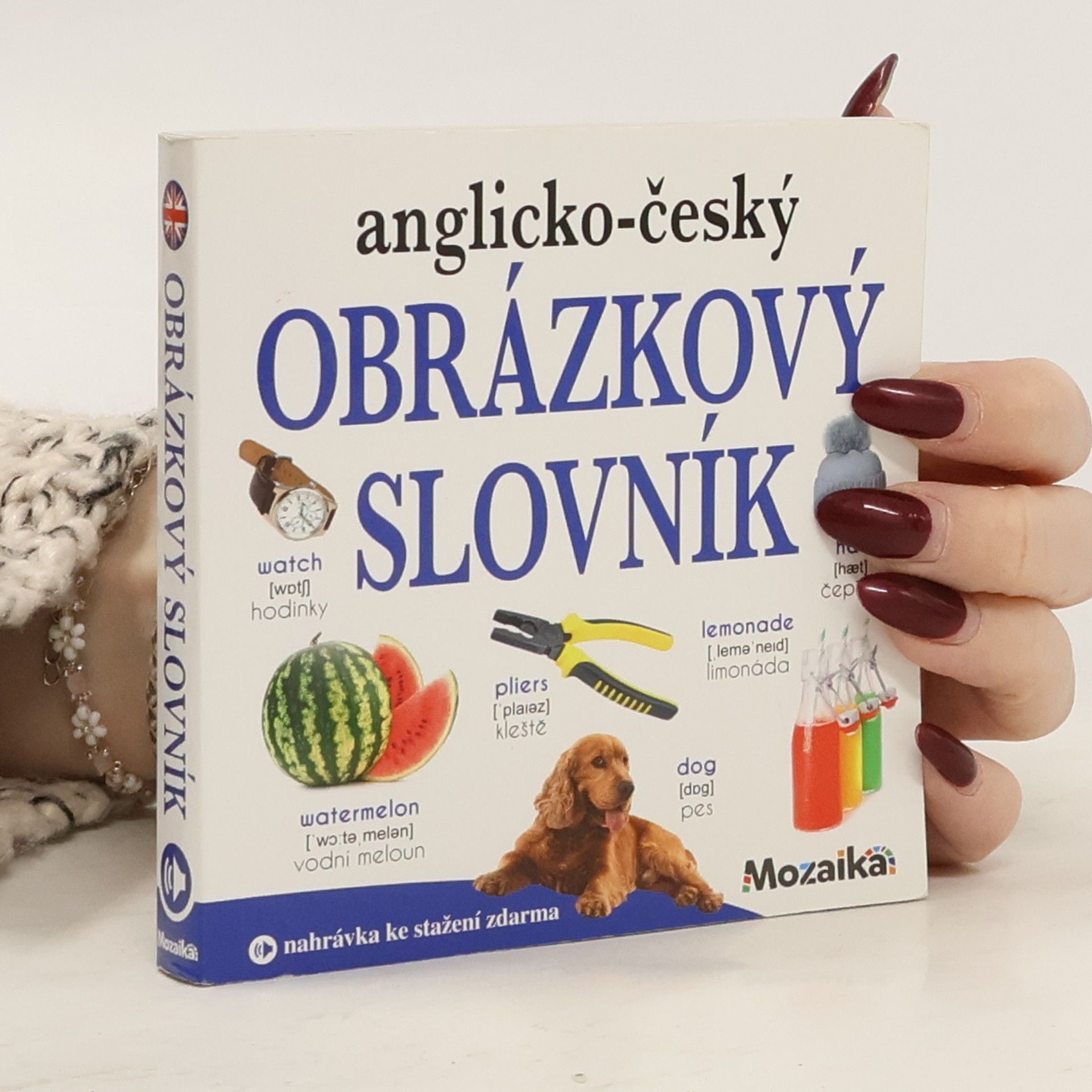 Autorenkollektiv Anglicko-český obrázkový slovník Obrázkový slovník
