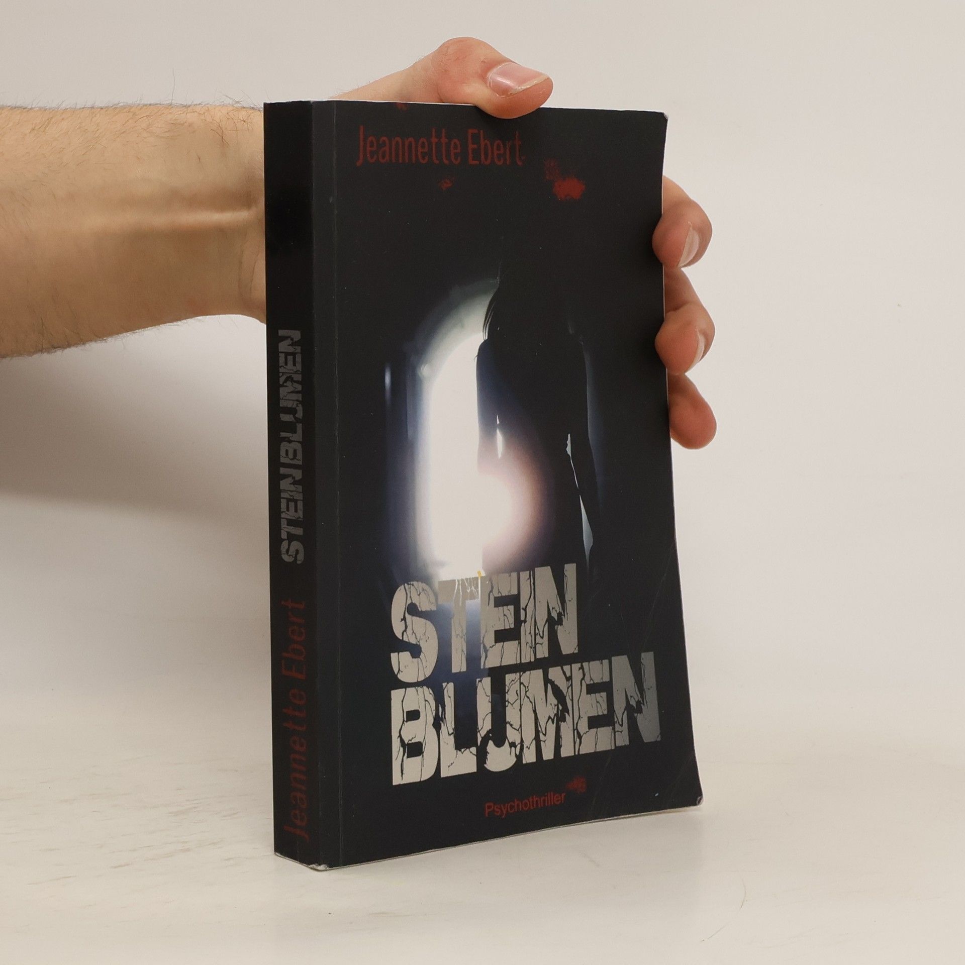 Jeannette Ebert Steinblumen