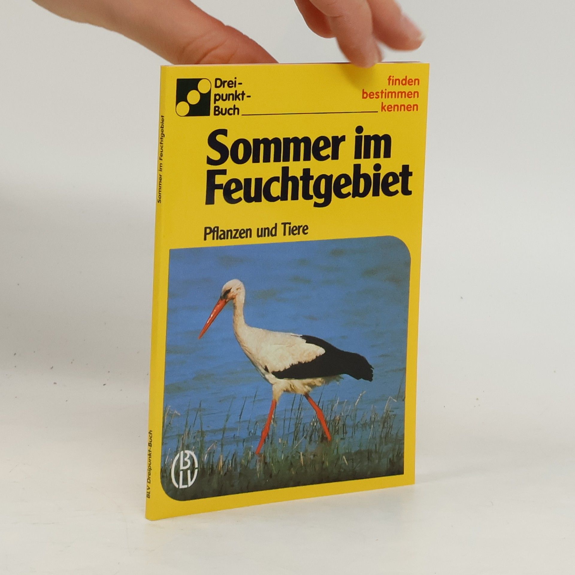 Autorenkollektiv Sommer im Feuchtgebiet