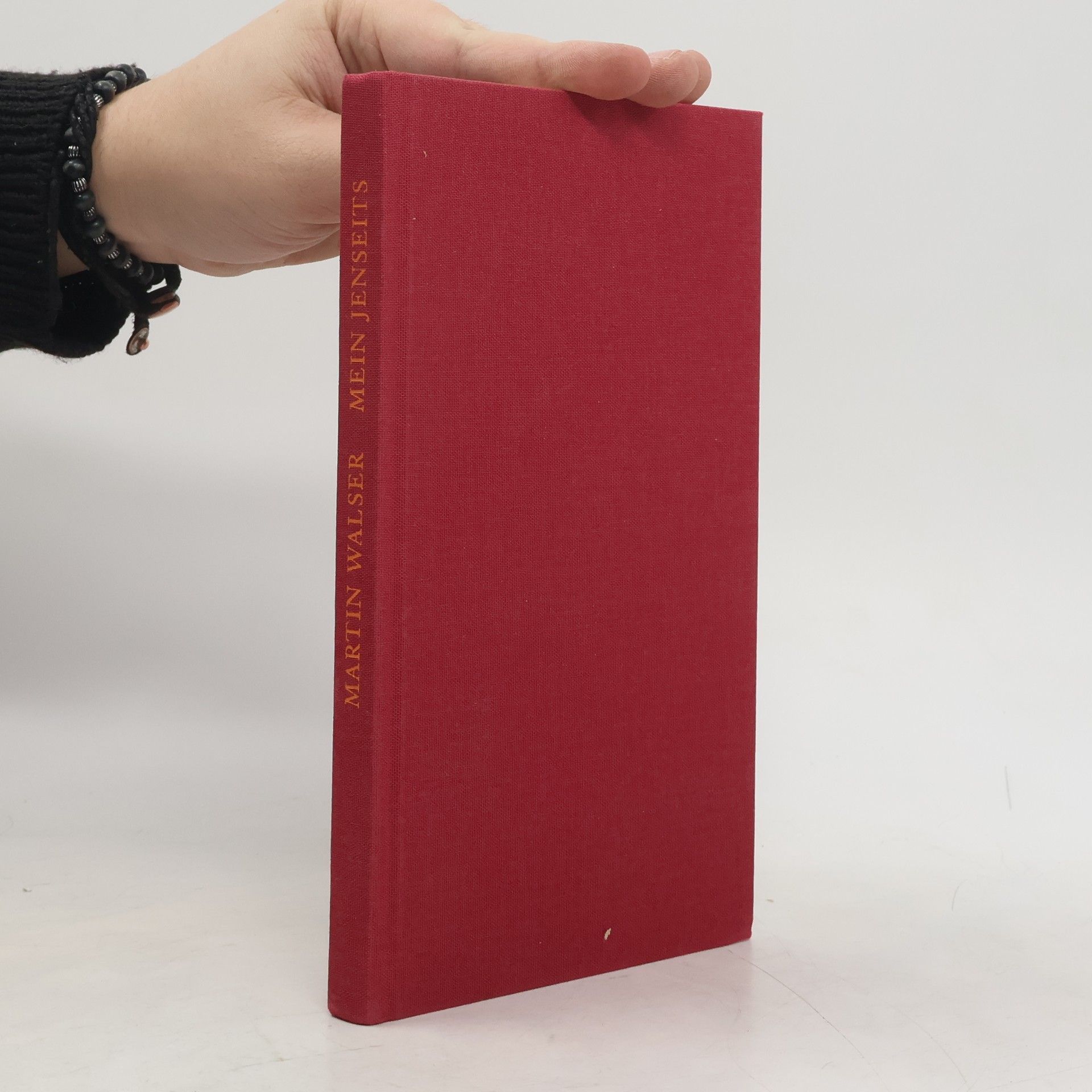 Martin Walser Mein Jenseits