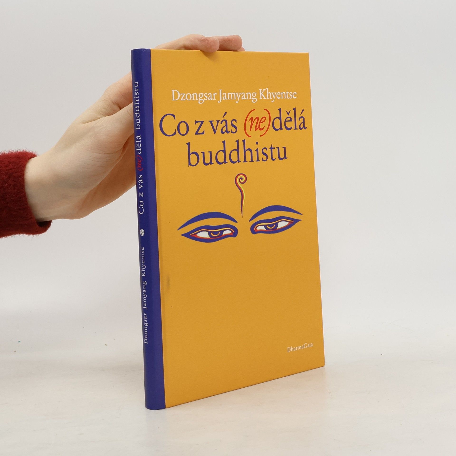 Jamyang Khyentse Co z vás (ne)dělá buddhistu