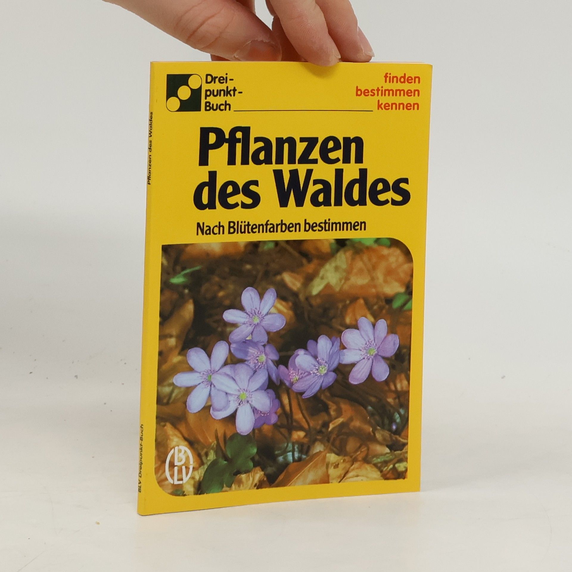 Collectif d'auteurs Pflanzen des Waldes
