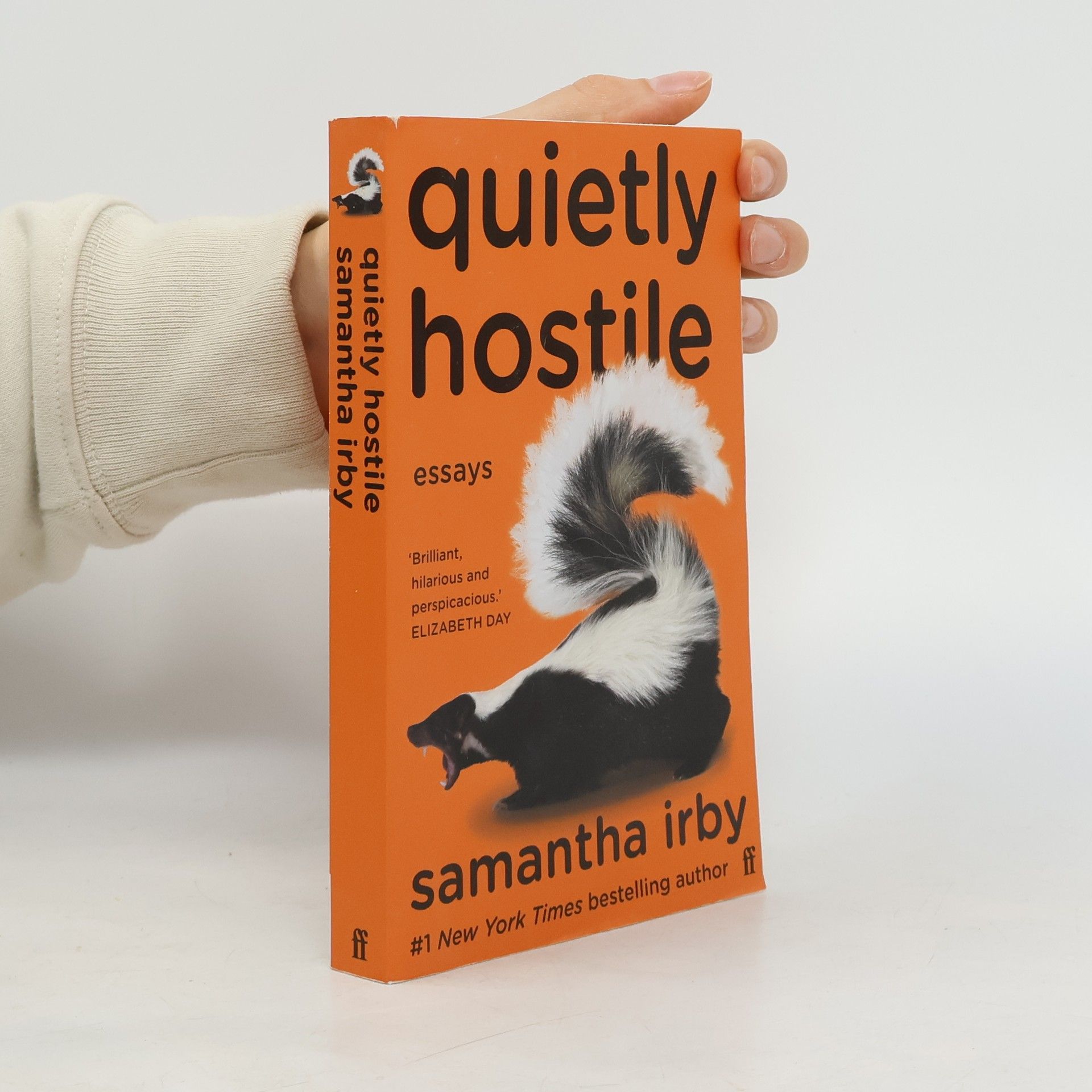 Samantha Irby Quietly Hostile