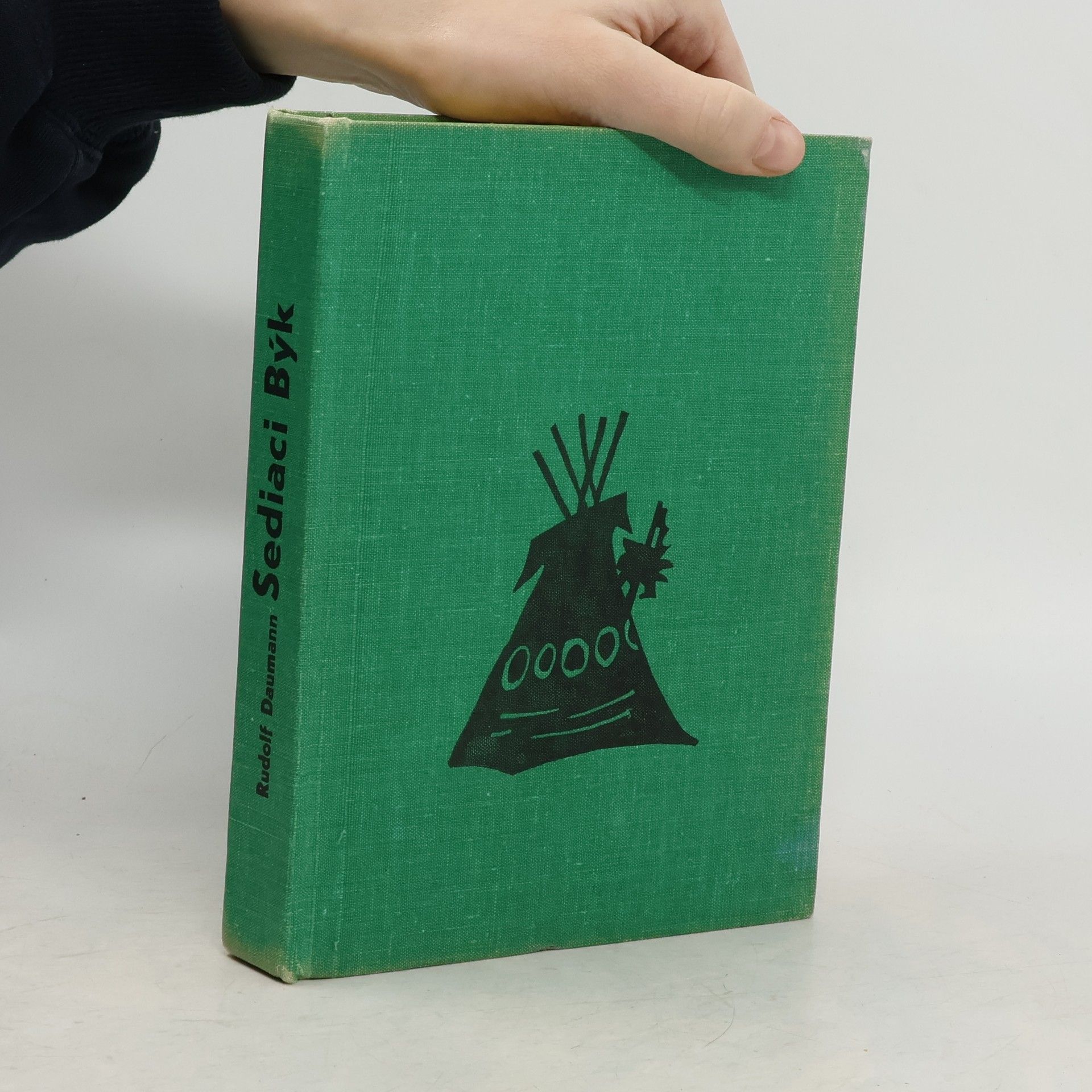 Veľký náčelník Dakotov