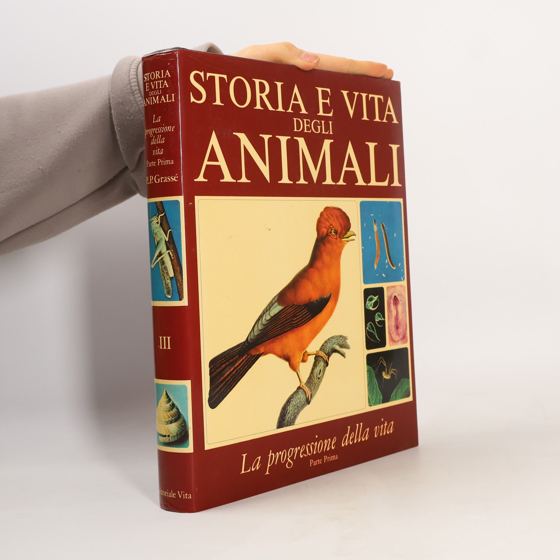 Pierre-P. Grassé Storia e vita degli animali. La progressione della vita. Parte Prima III