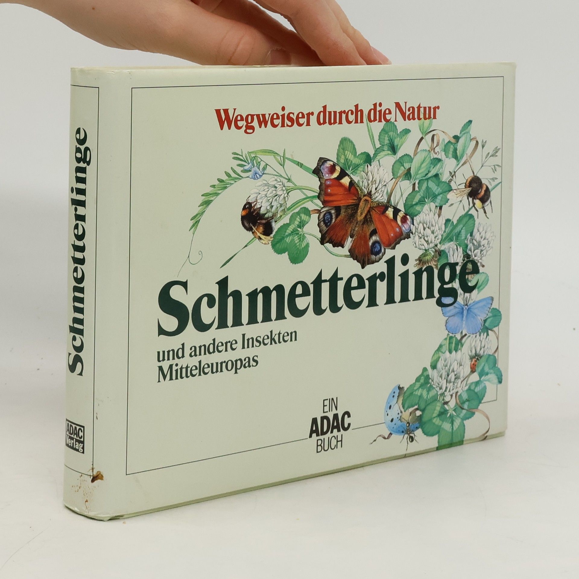 Edwin Möhn Schmetterlinge und andere Insekten Mitteleuropas