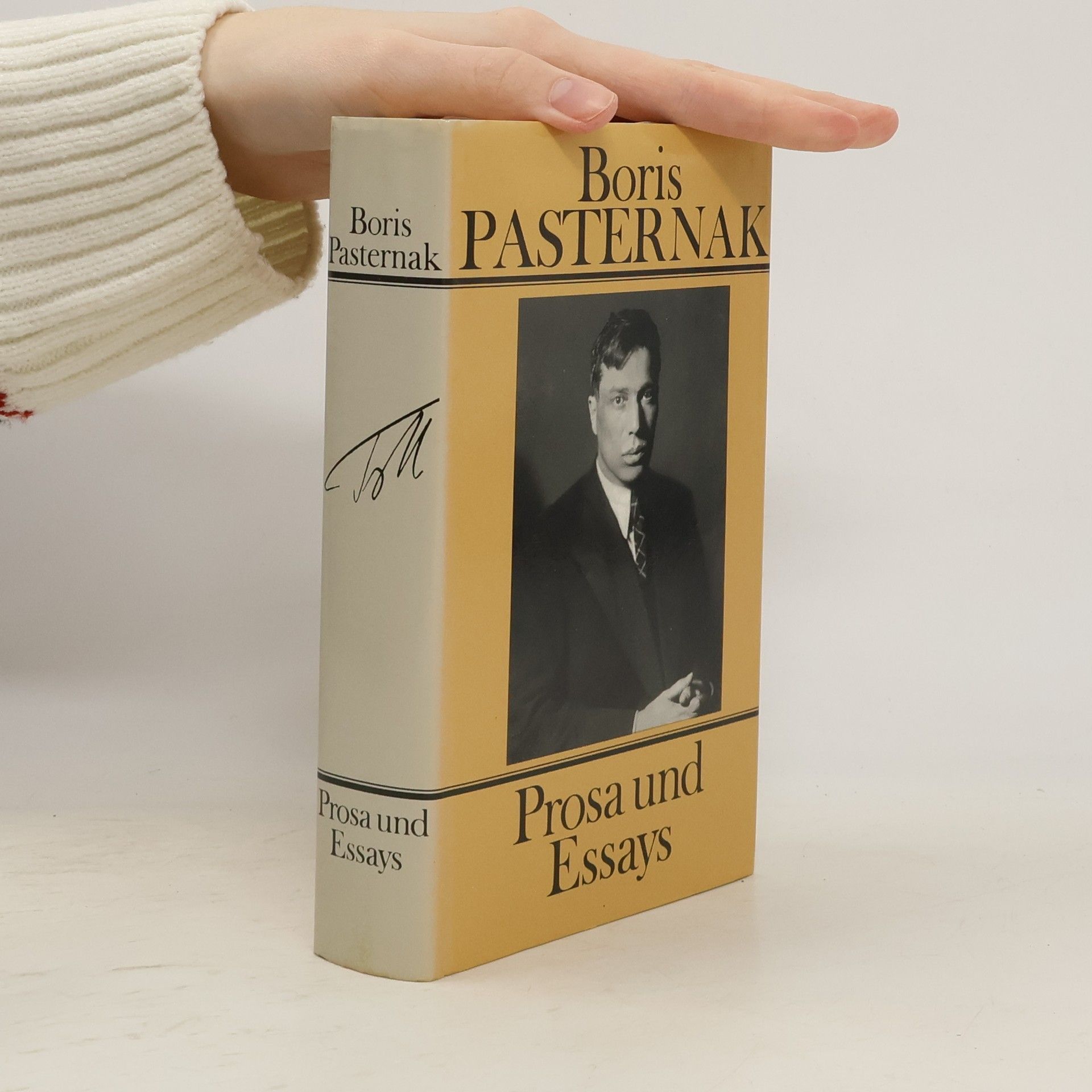 Boris Pasternak Prosa und Essays