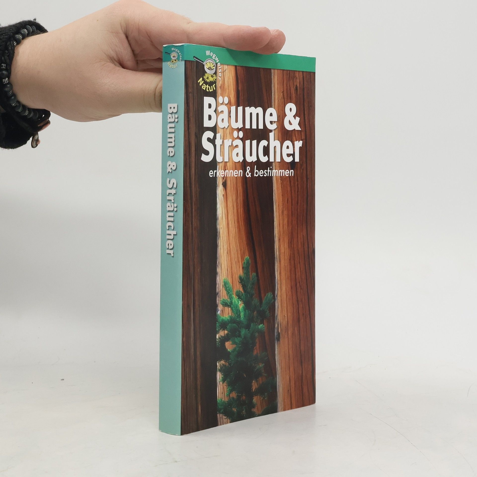 Maurice Dupérat Bäume & Sträucher